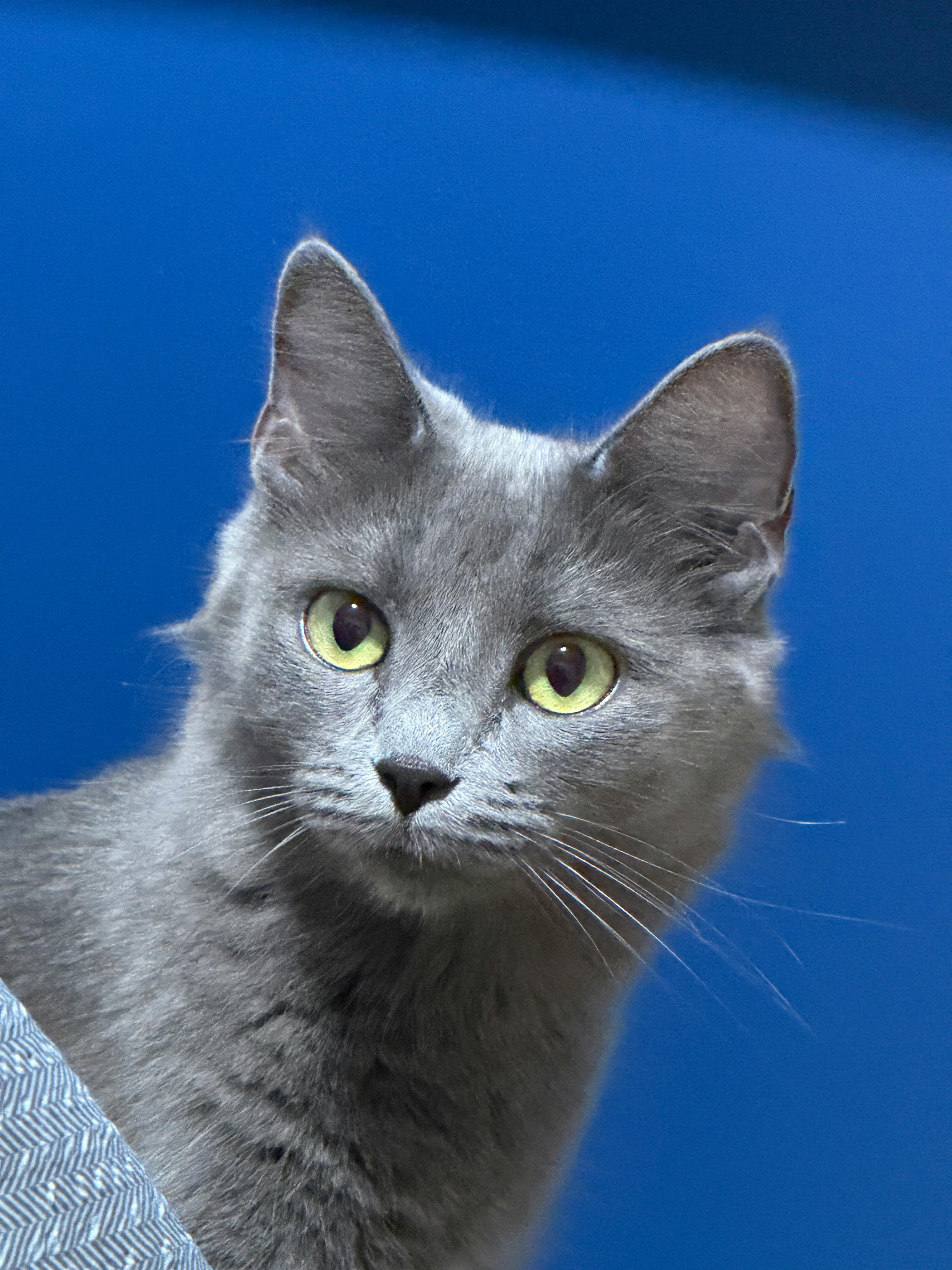 user avatar image for Santos17