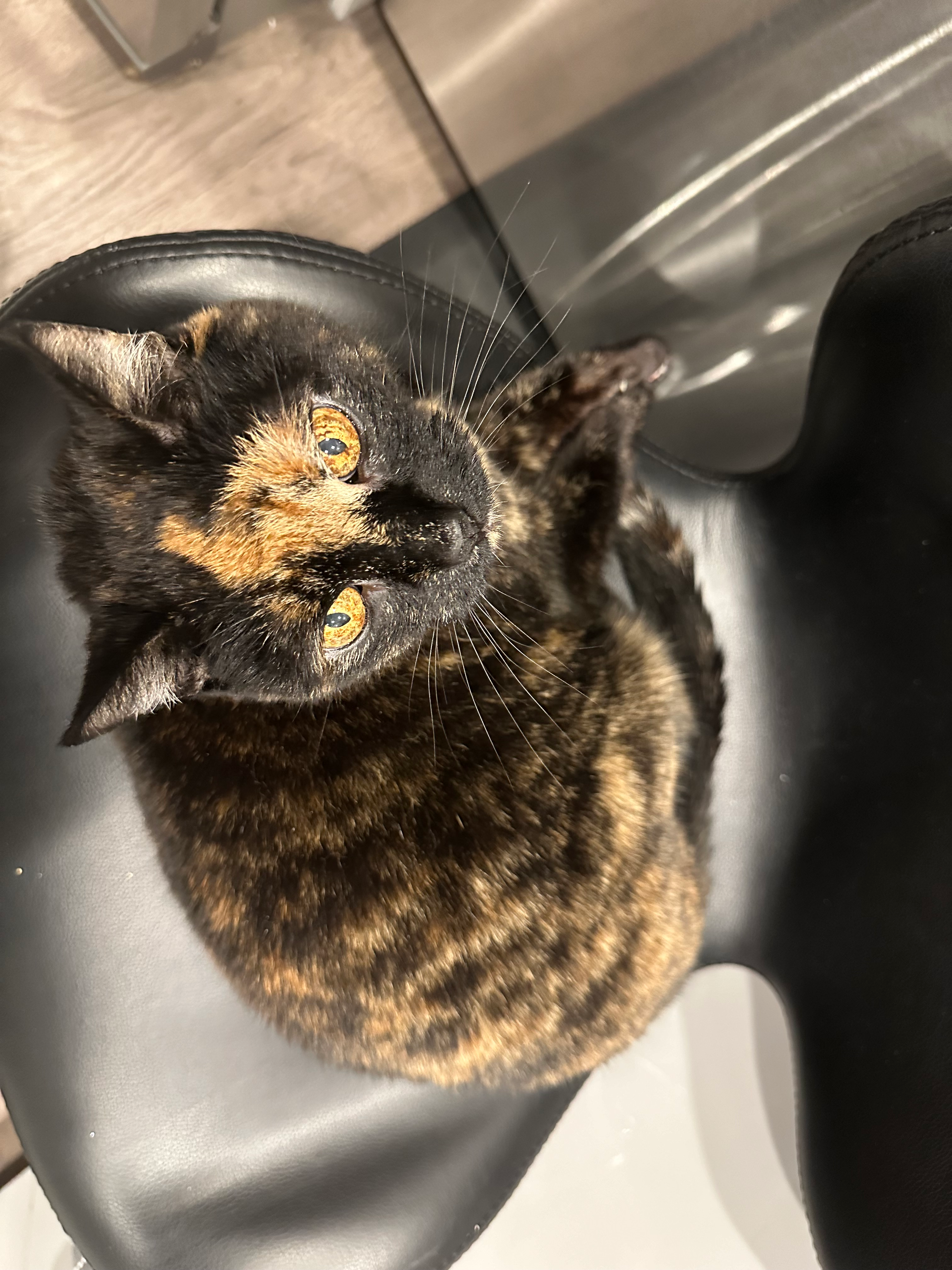 user avatar image for Nicol3