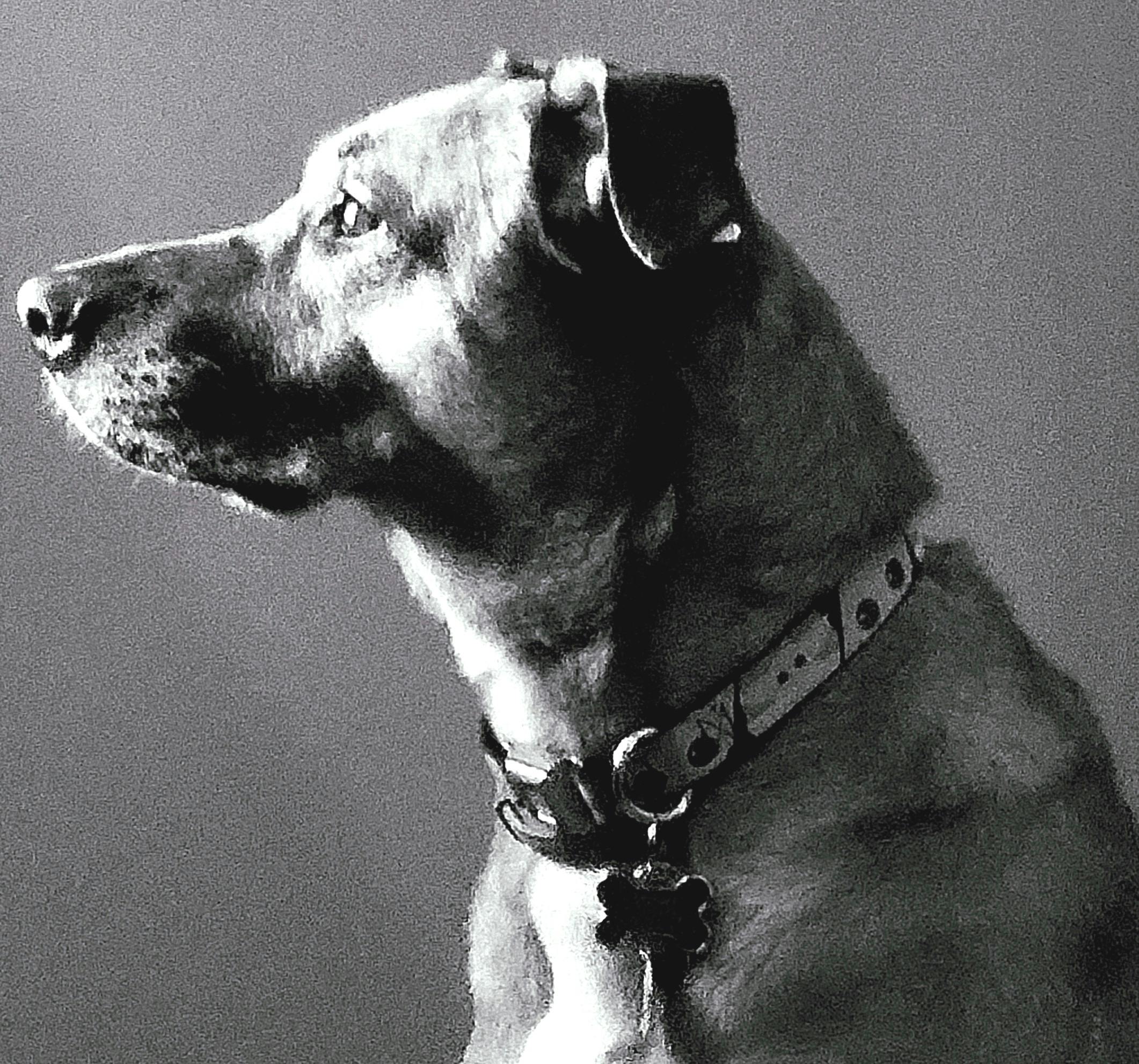 user avatar image for Brian