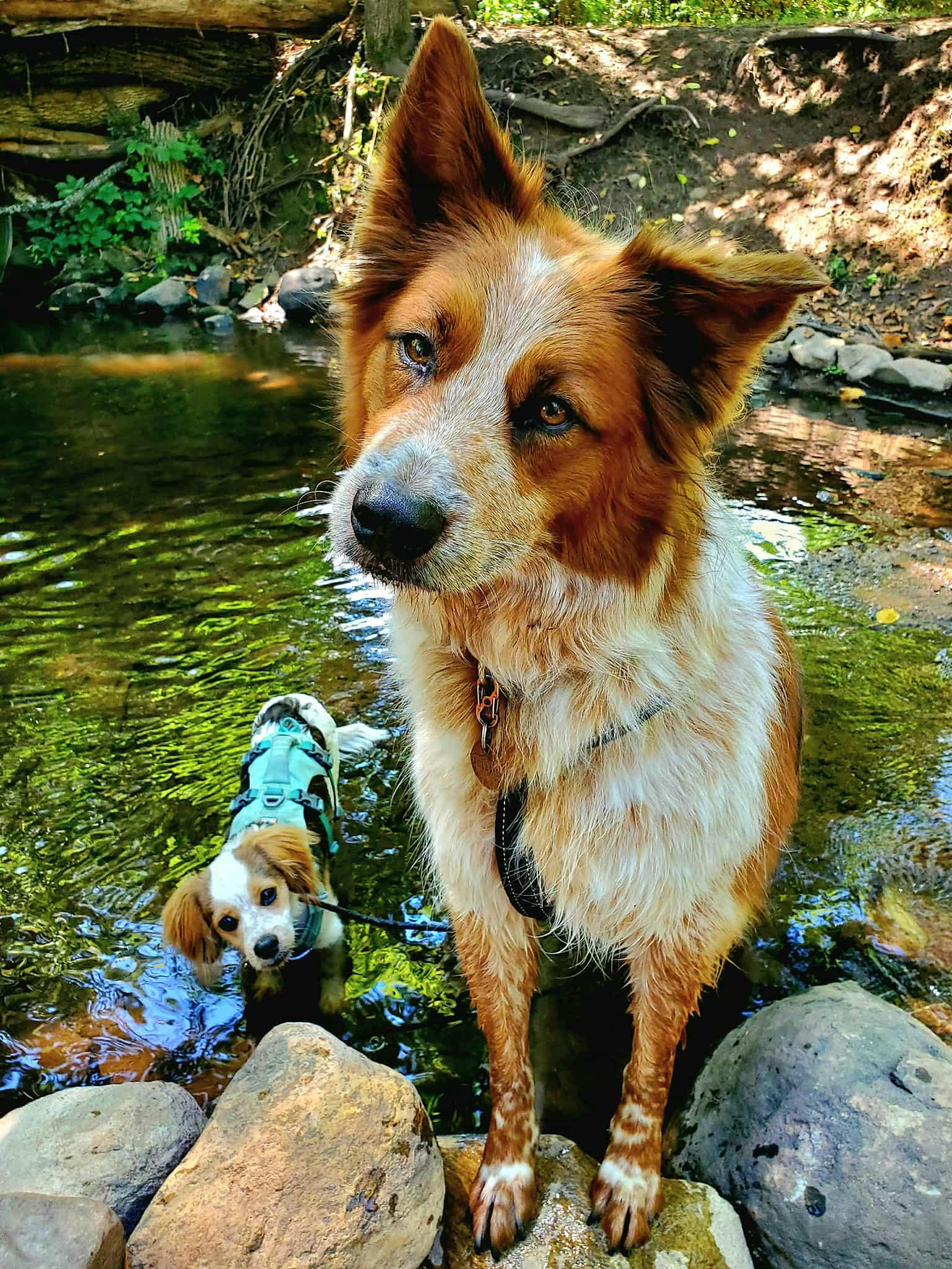 user avatar image for Anna