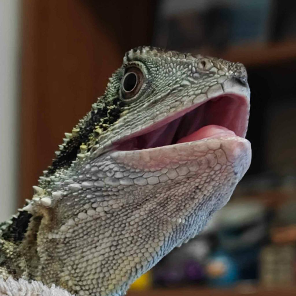 user avatar image for Hanna