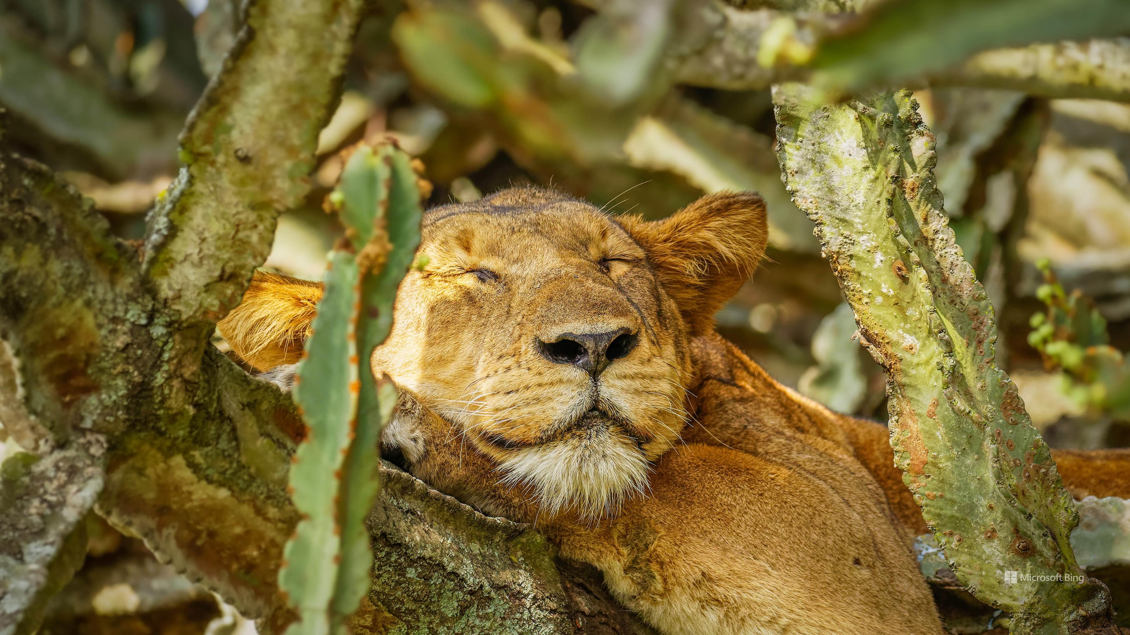 user avatar image for CatherineC