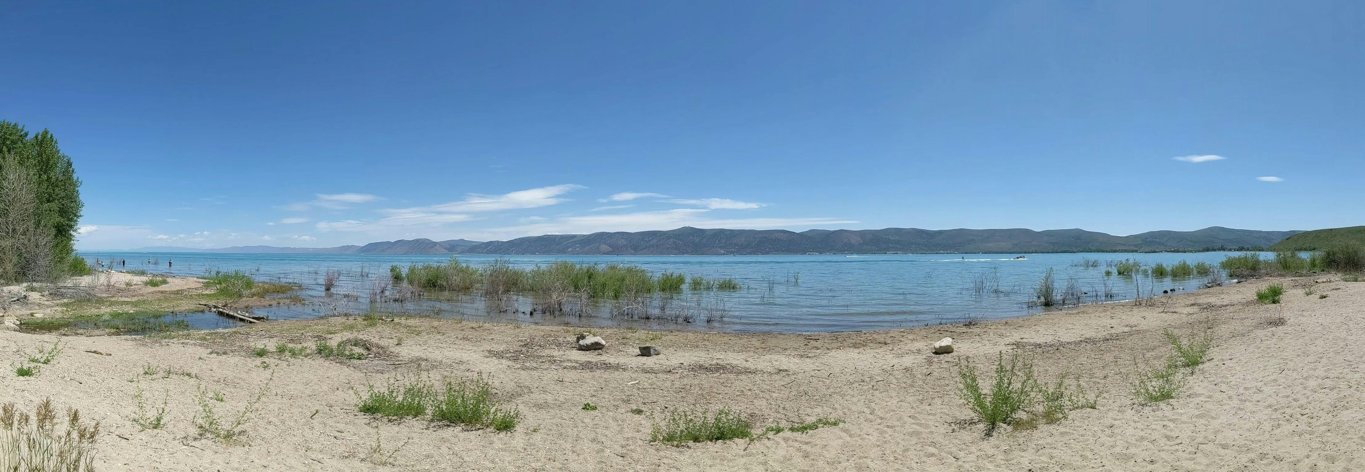 user avatar image for montzerin