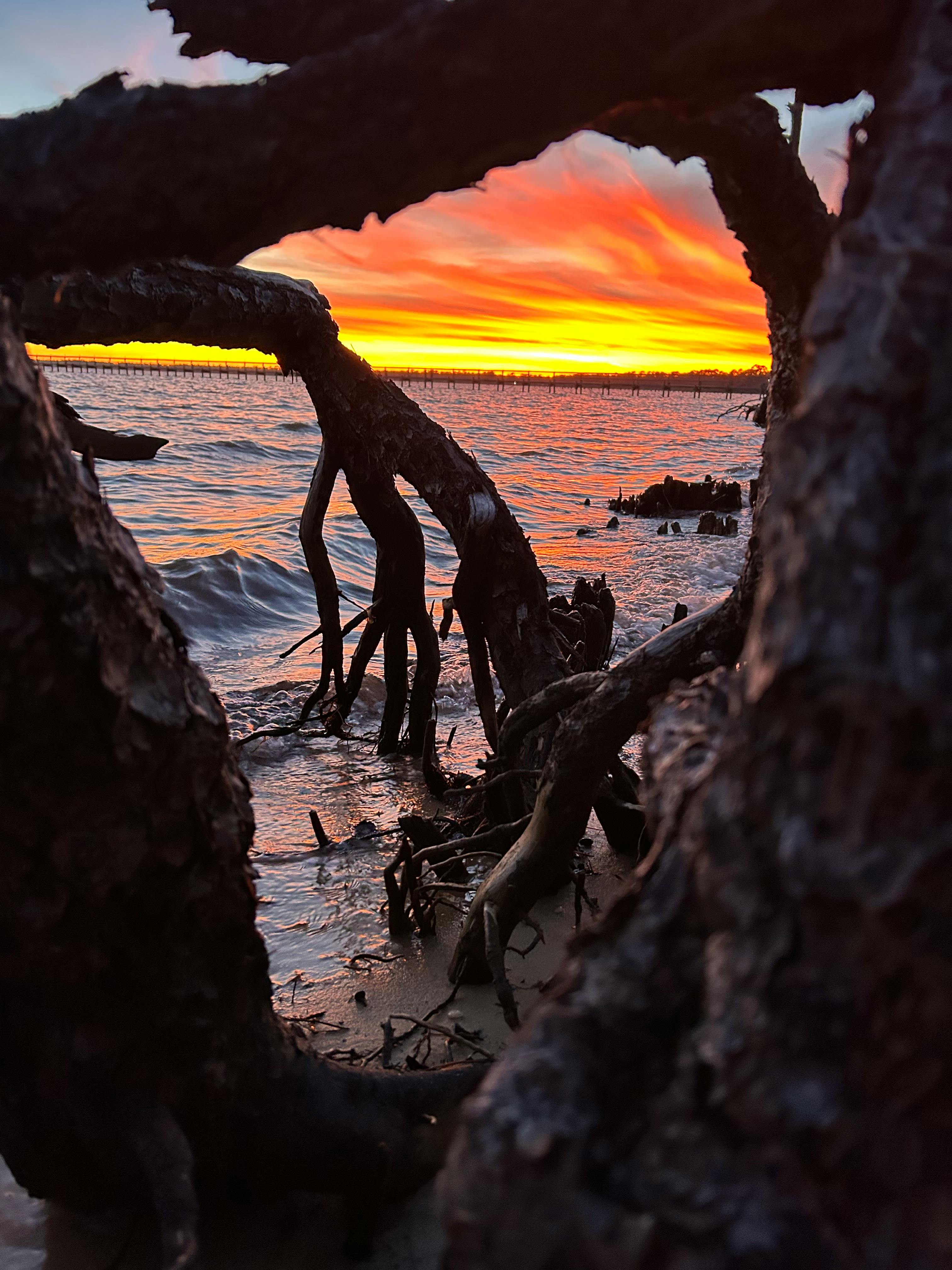 user avatar image for Suzette