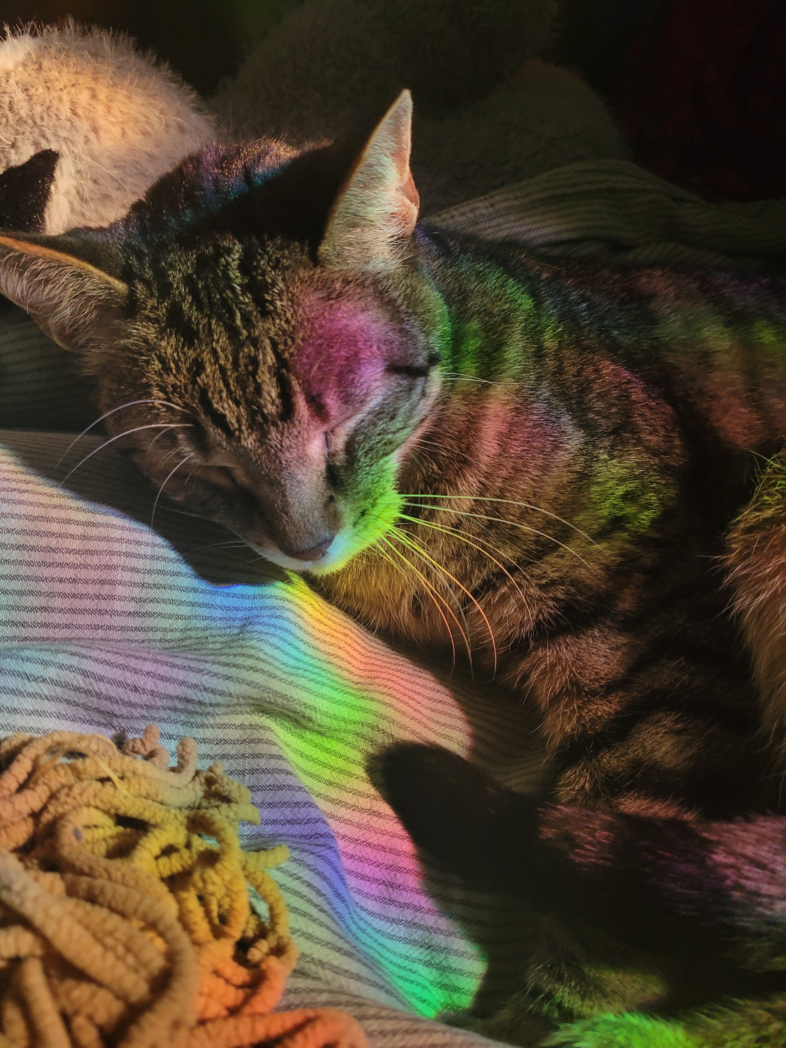 user avatar image for dylan