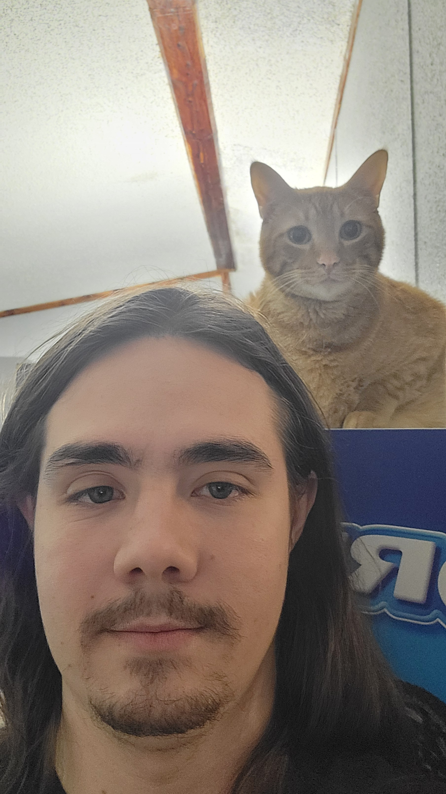 user avatar image for Dalton Sears