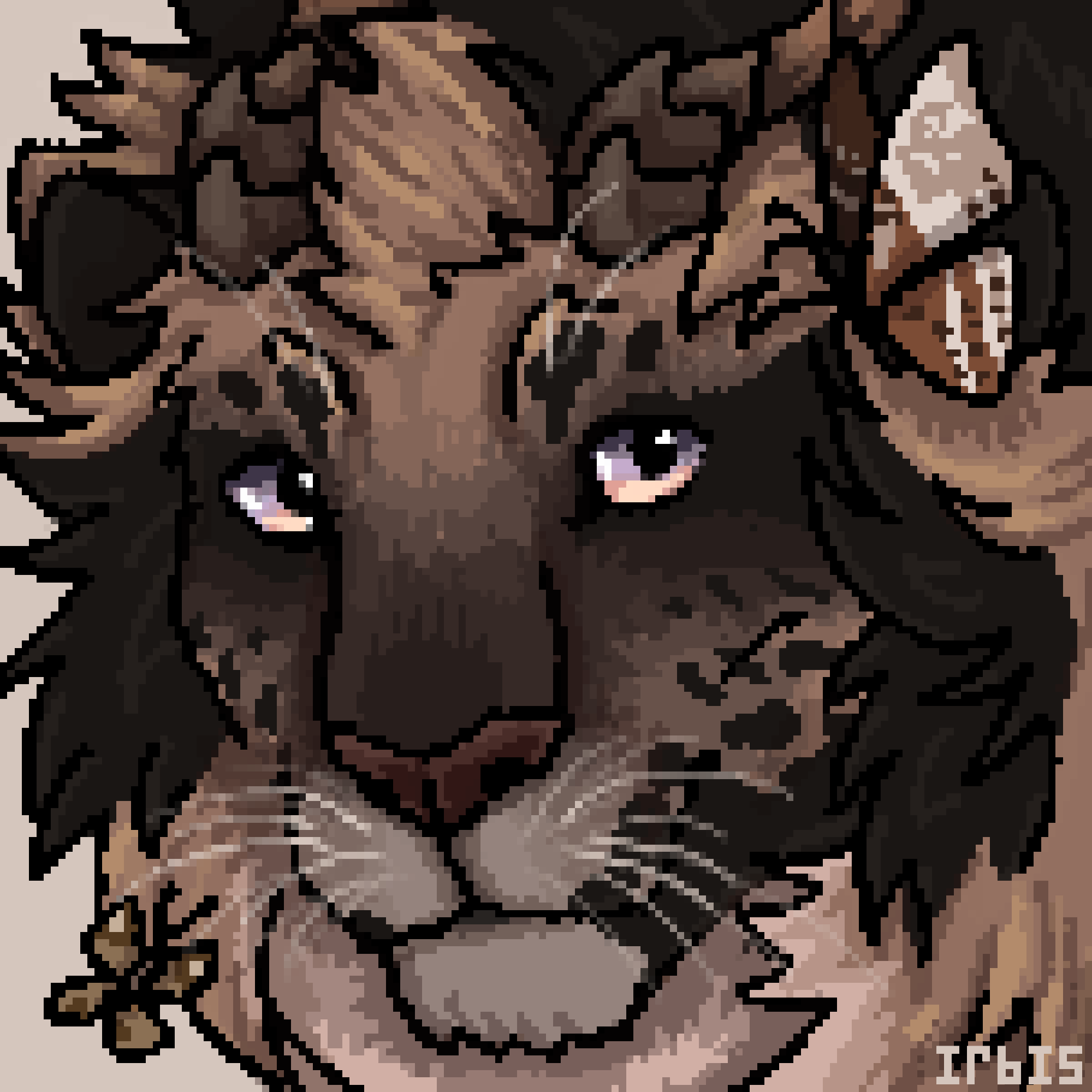 user avatar image for ChimpkinNBeans