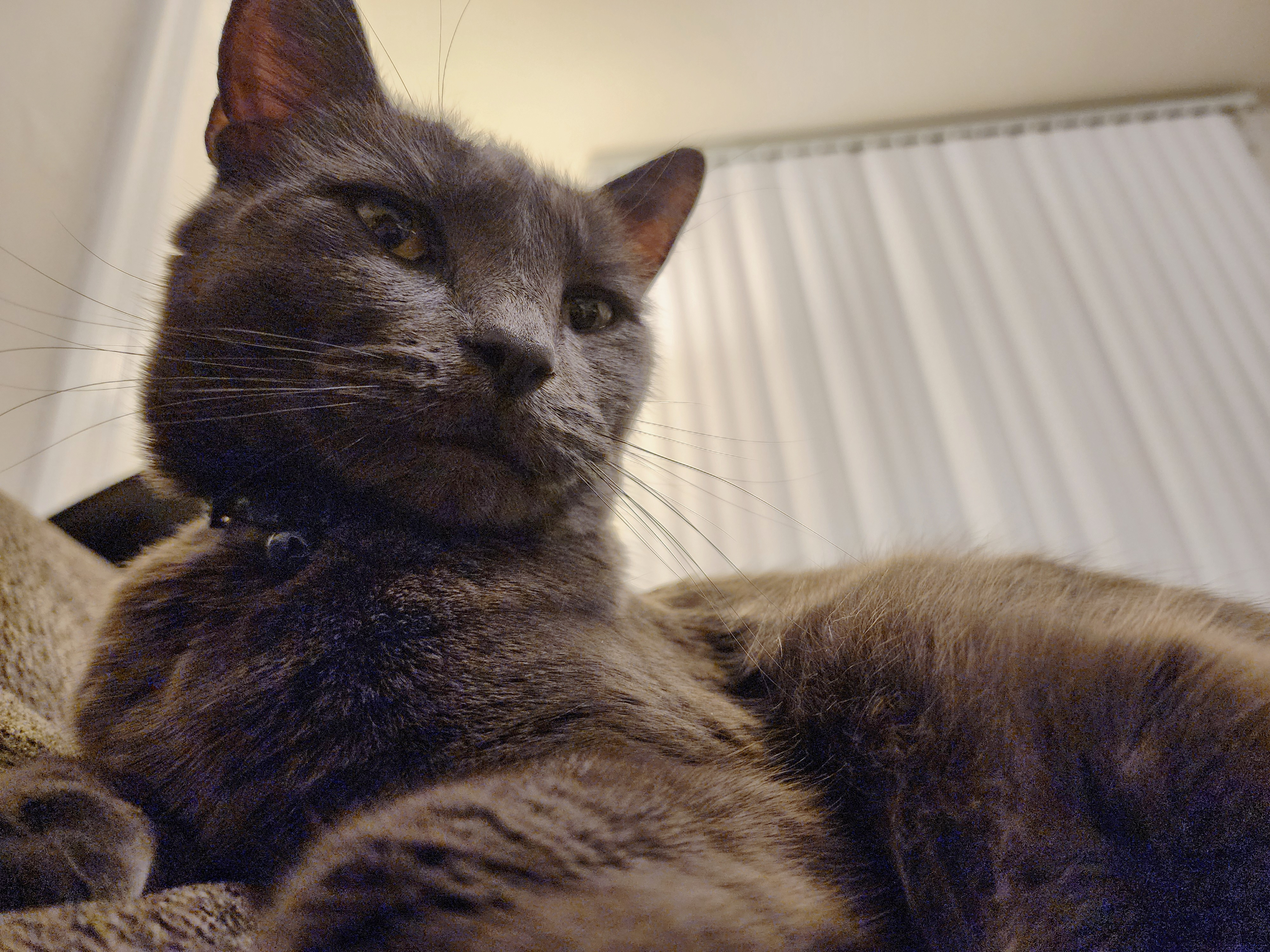 user avatar image for Sleepy_Bookwyrm