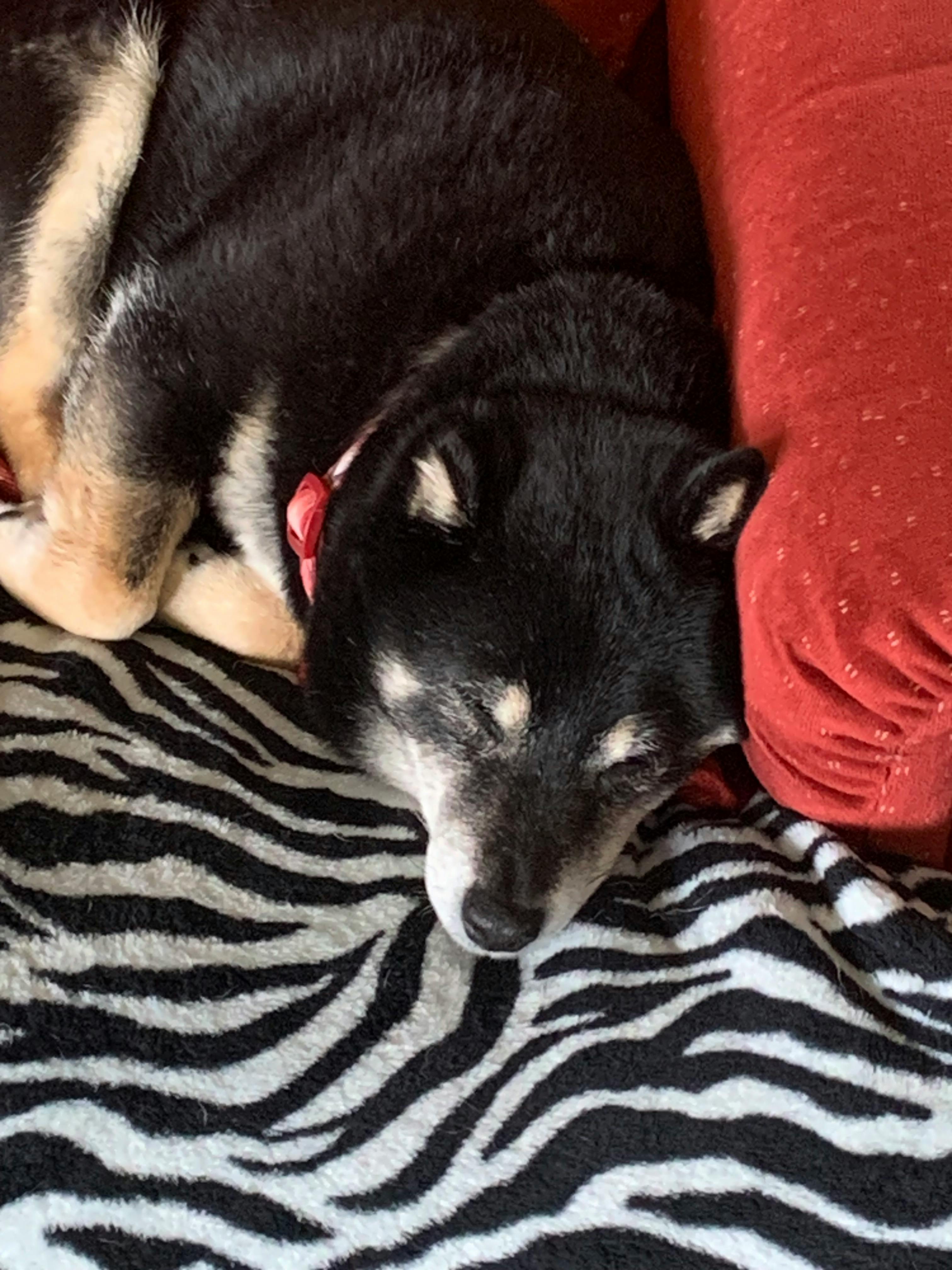 user avatar image for Michael Dreibelbis