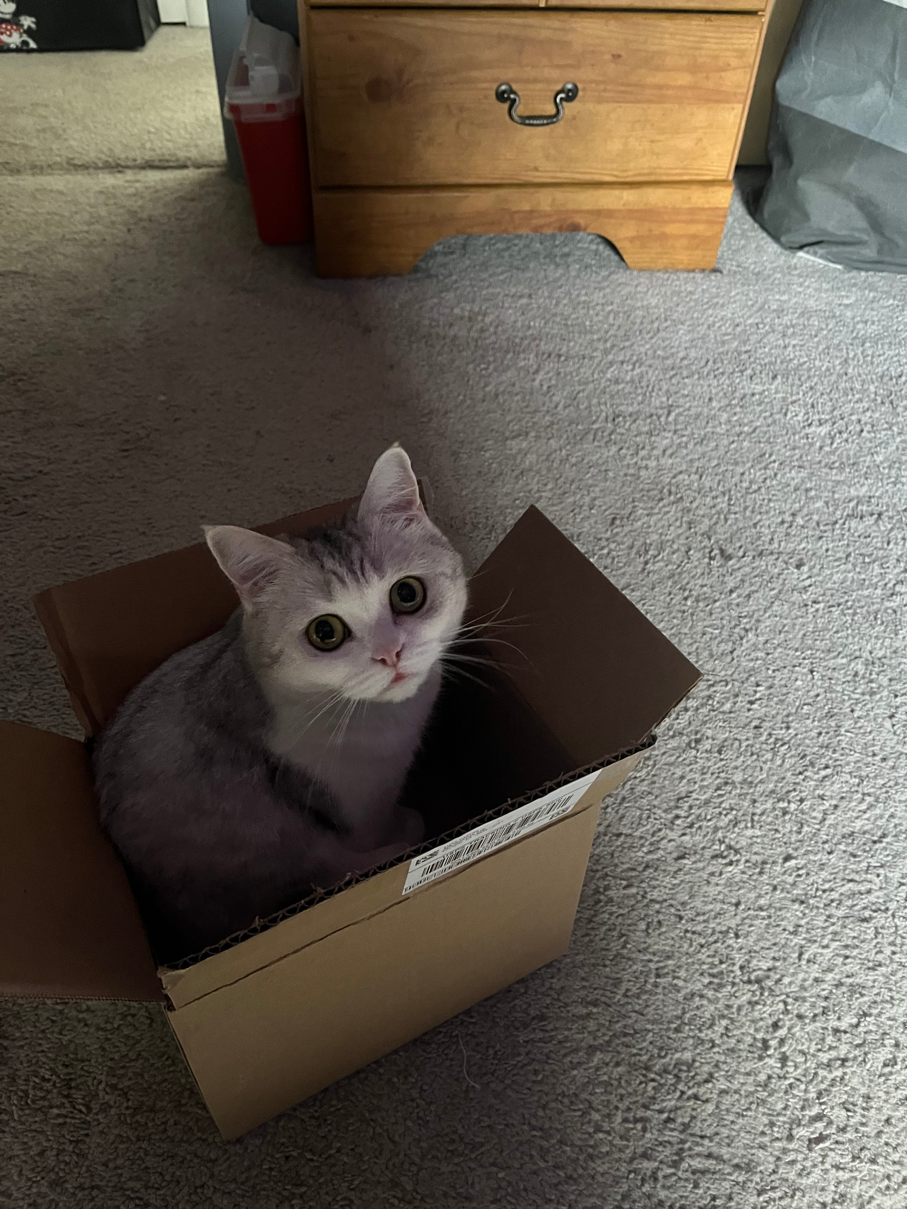 user avatar image for Elizabeth Castro