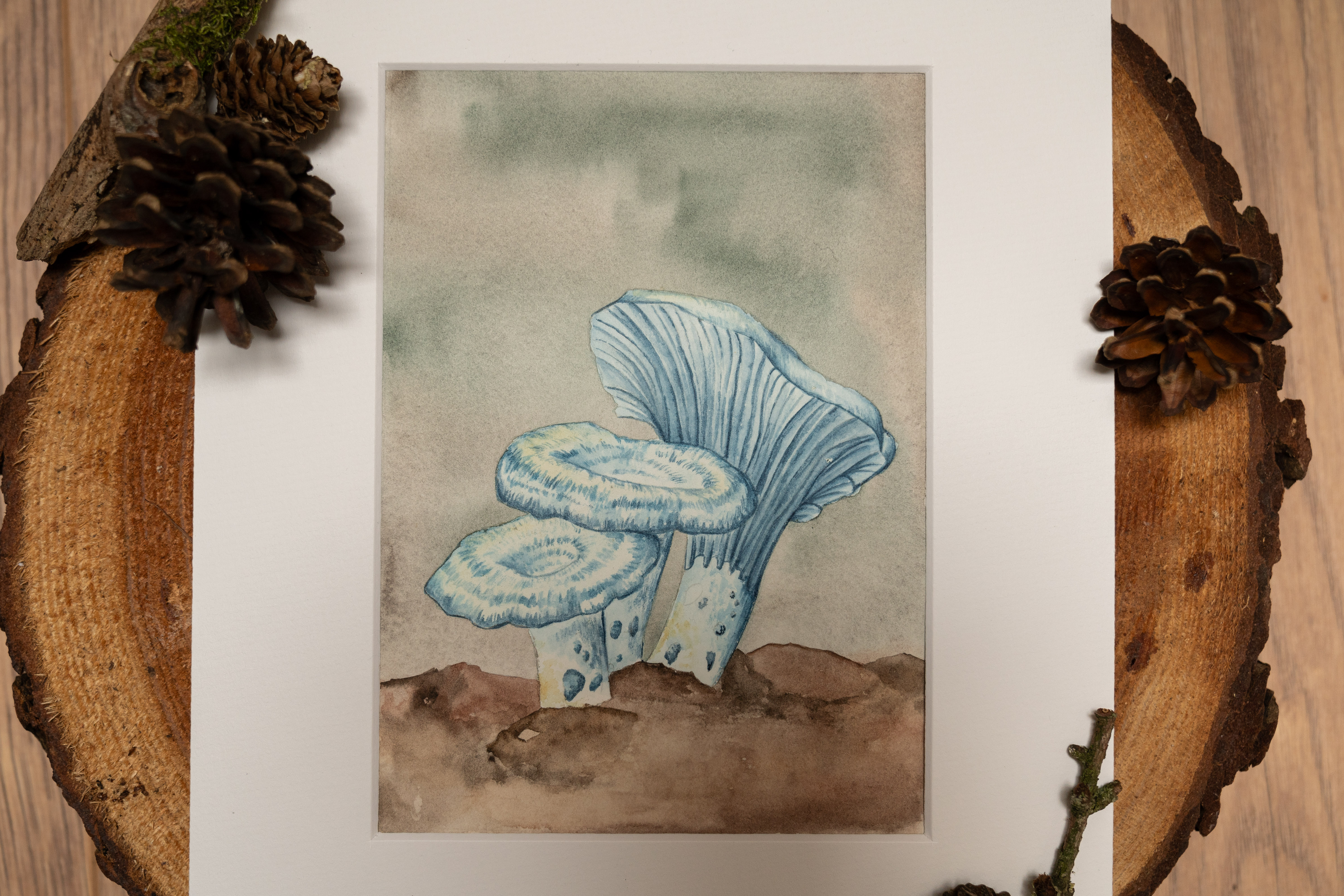 Orignal Art: Lactarius Indigo