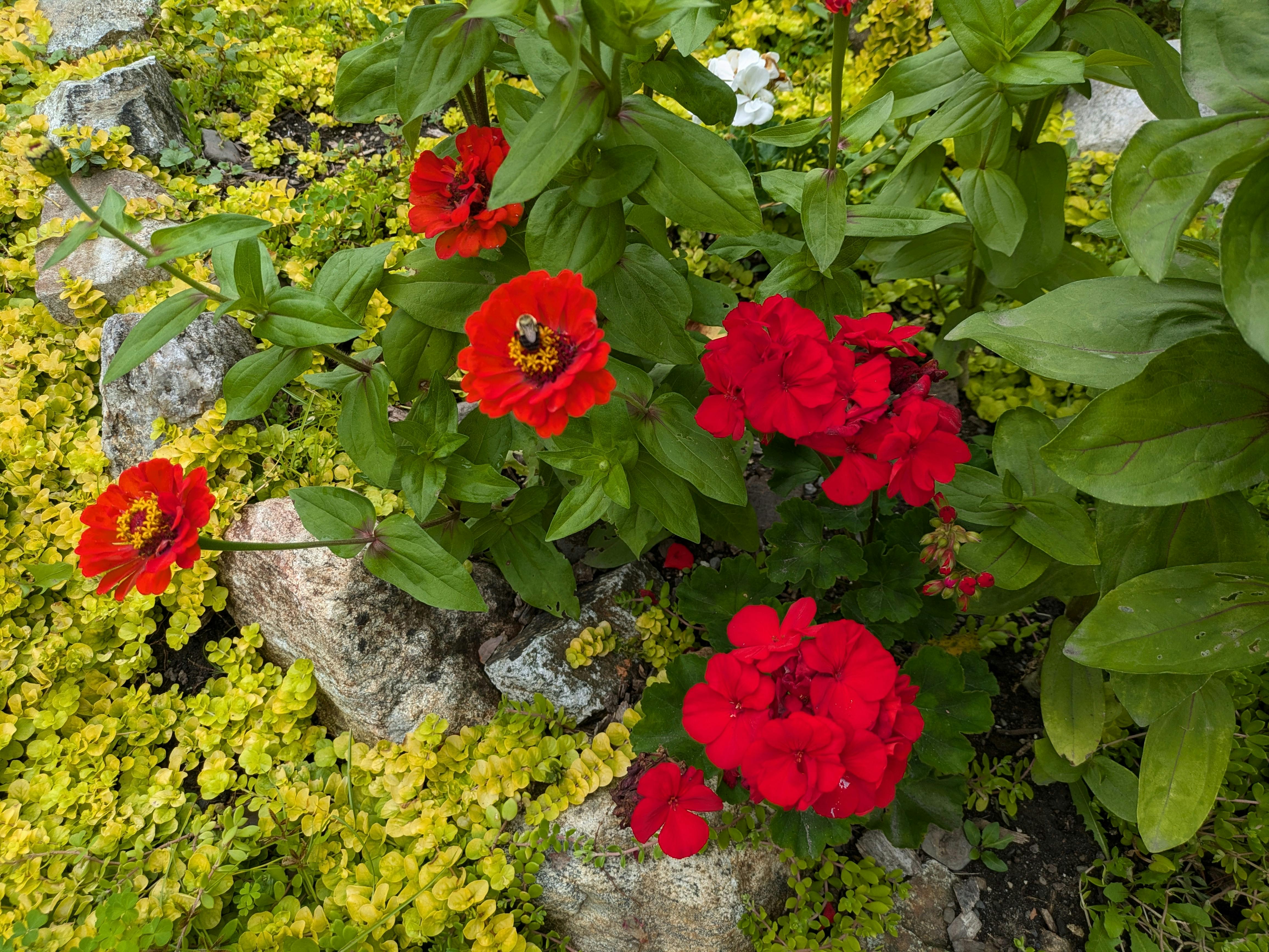 user avatar image for Scott Kachmar