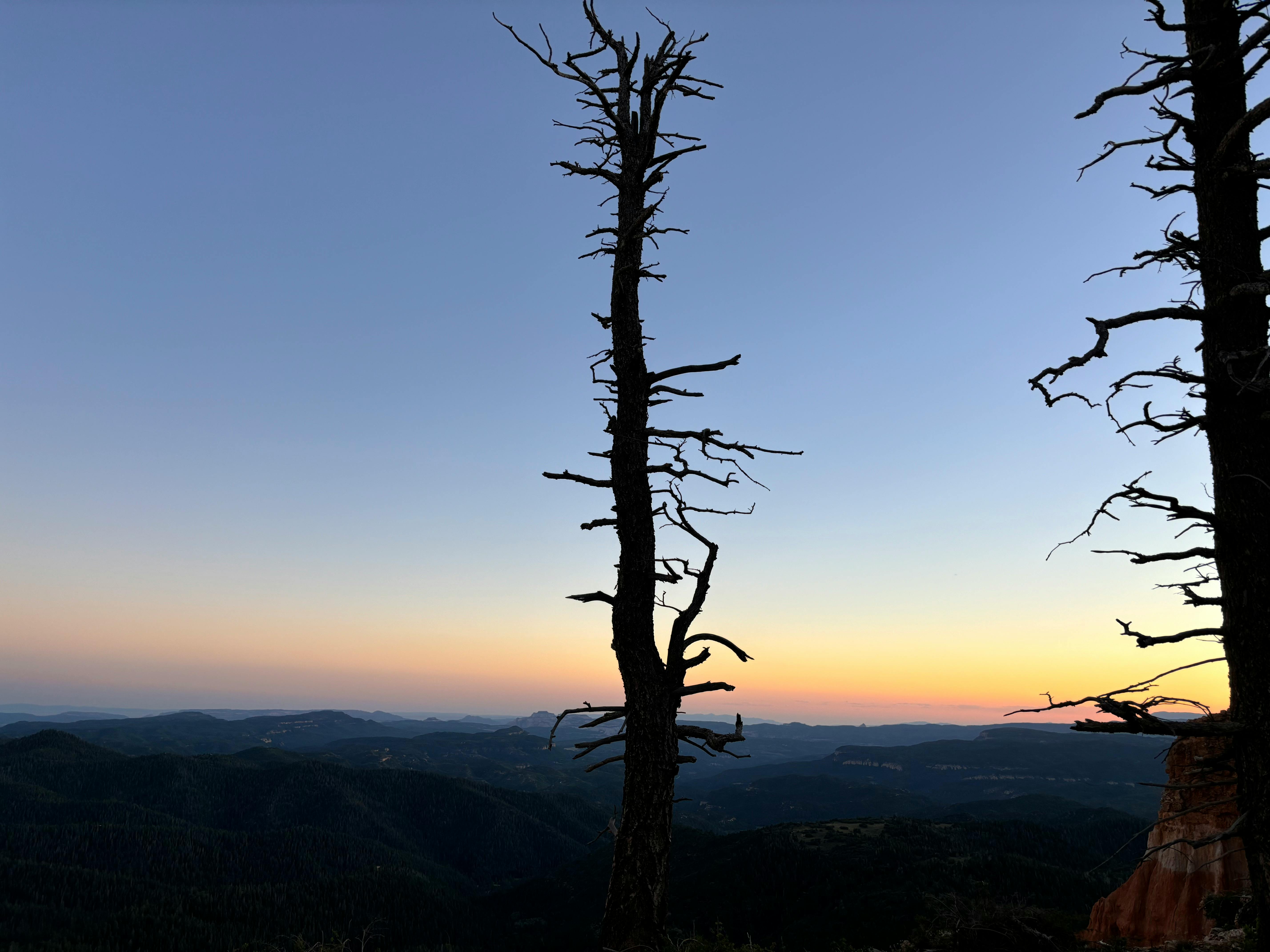 user avatar image for Amy