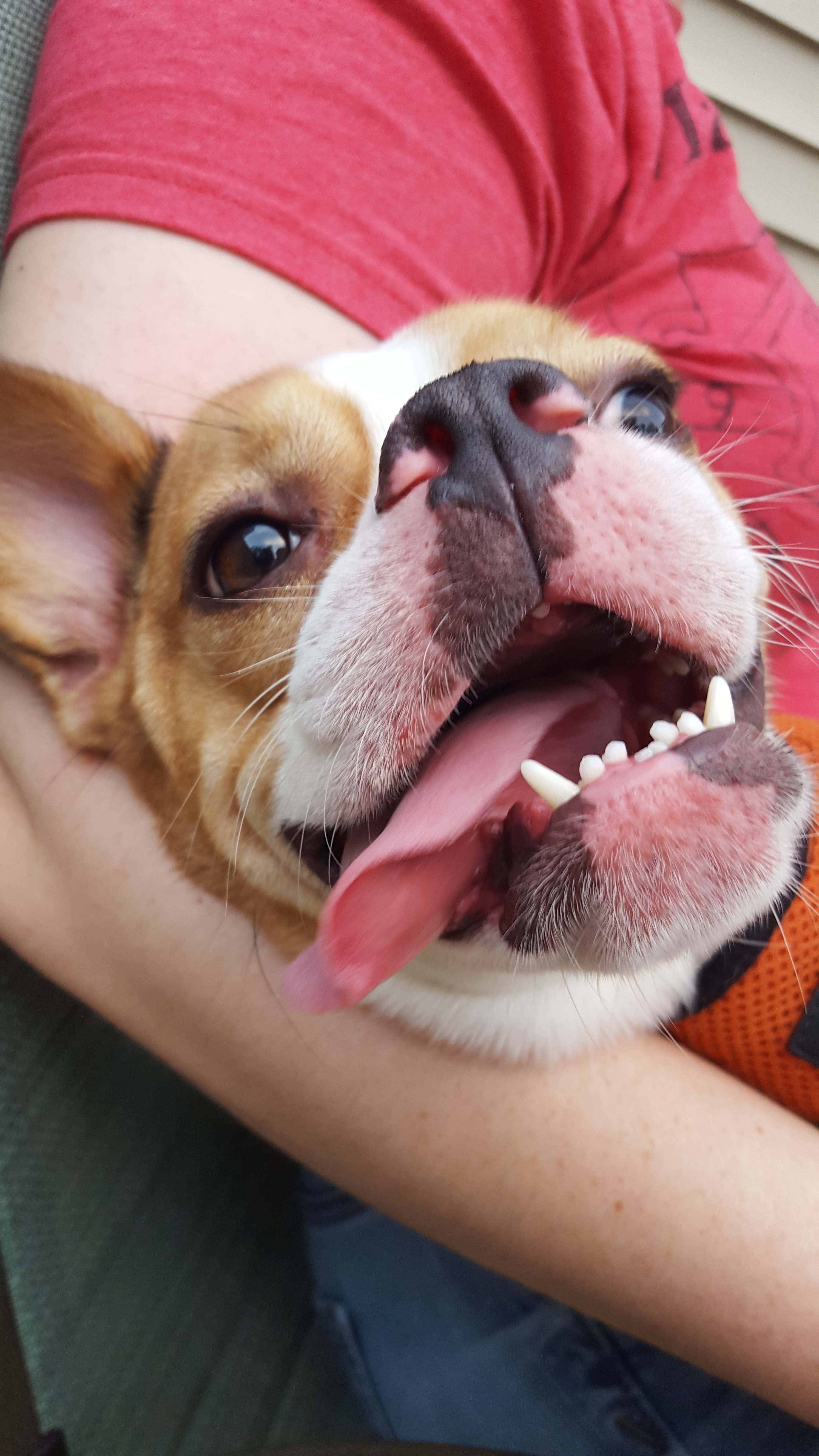 user avatar image for DevilsCut85