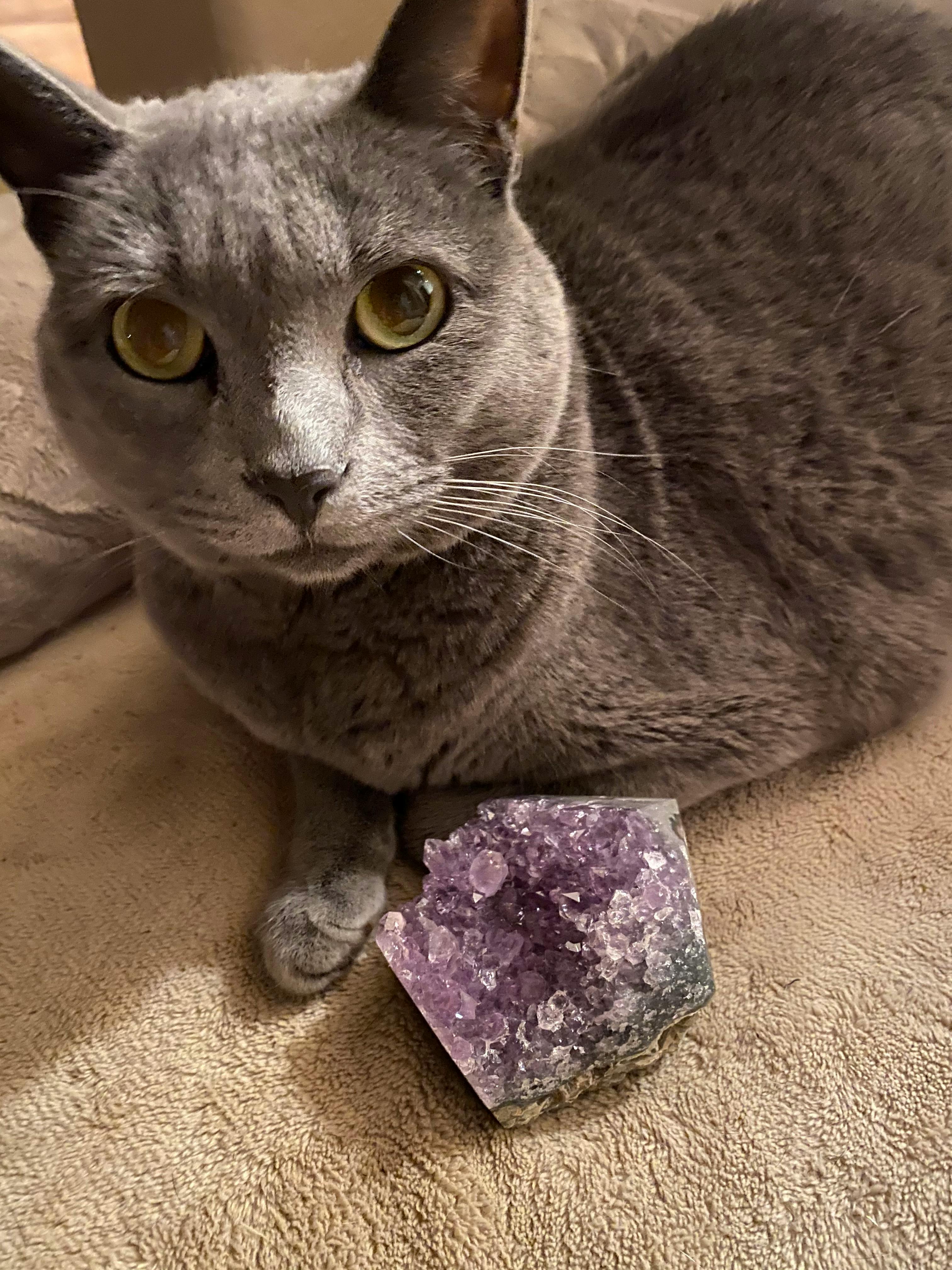 user avatar image for Nina_Star