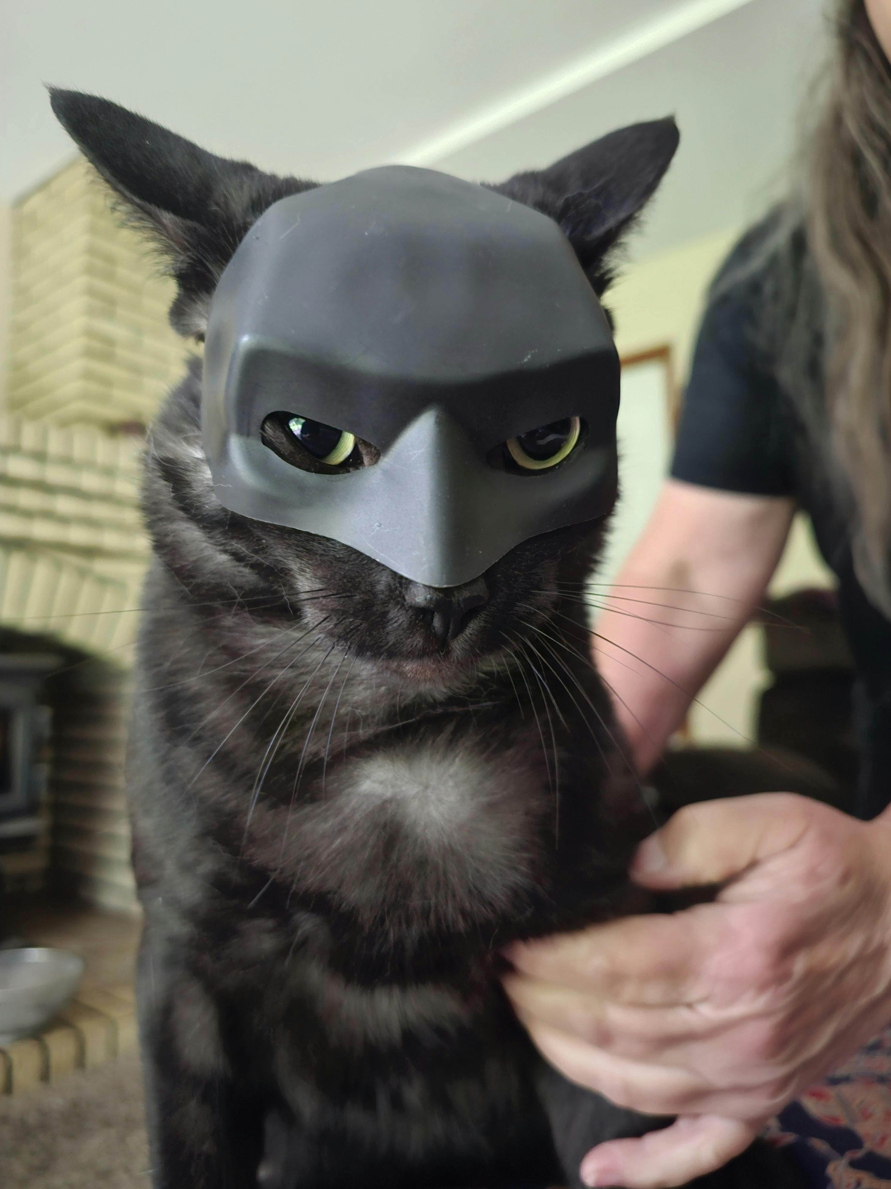 user avatar image for Kira Marie