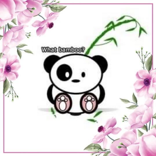 user avatar image for TcyCui