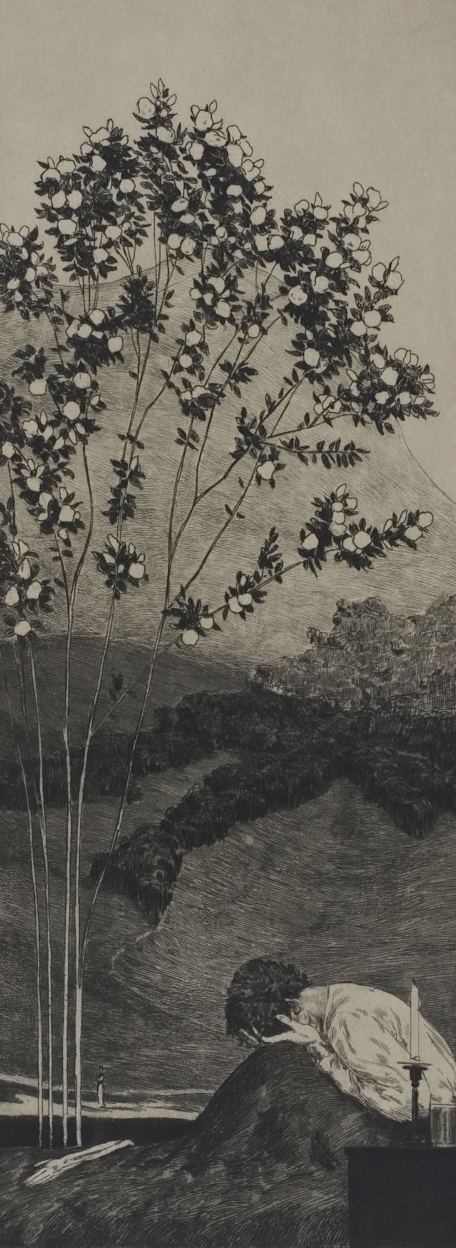 user avatar image for lolalogo