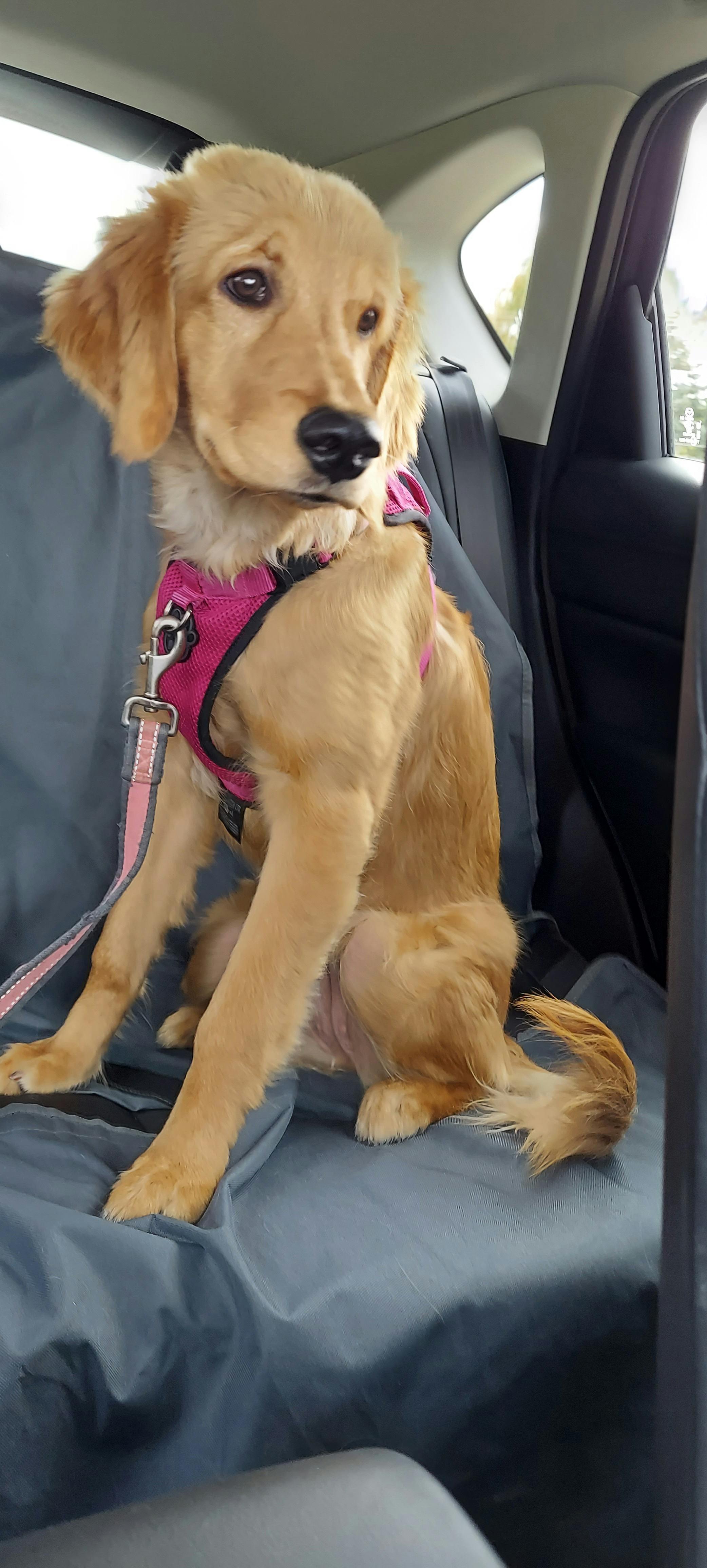 user avatar image for Jared P.