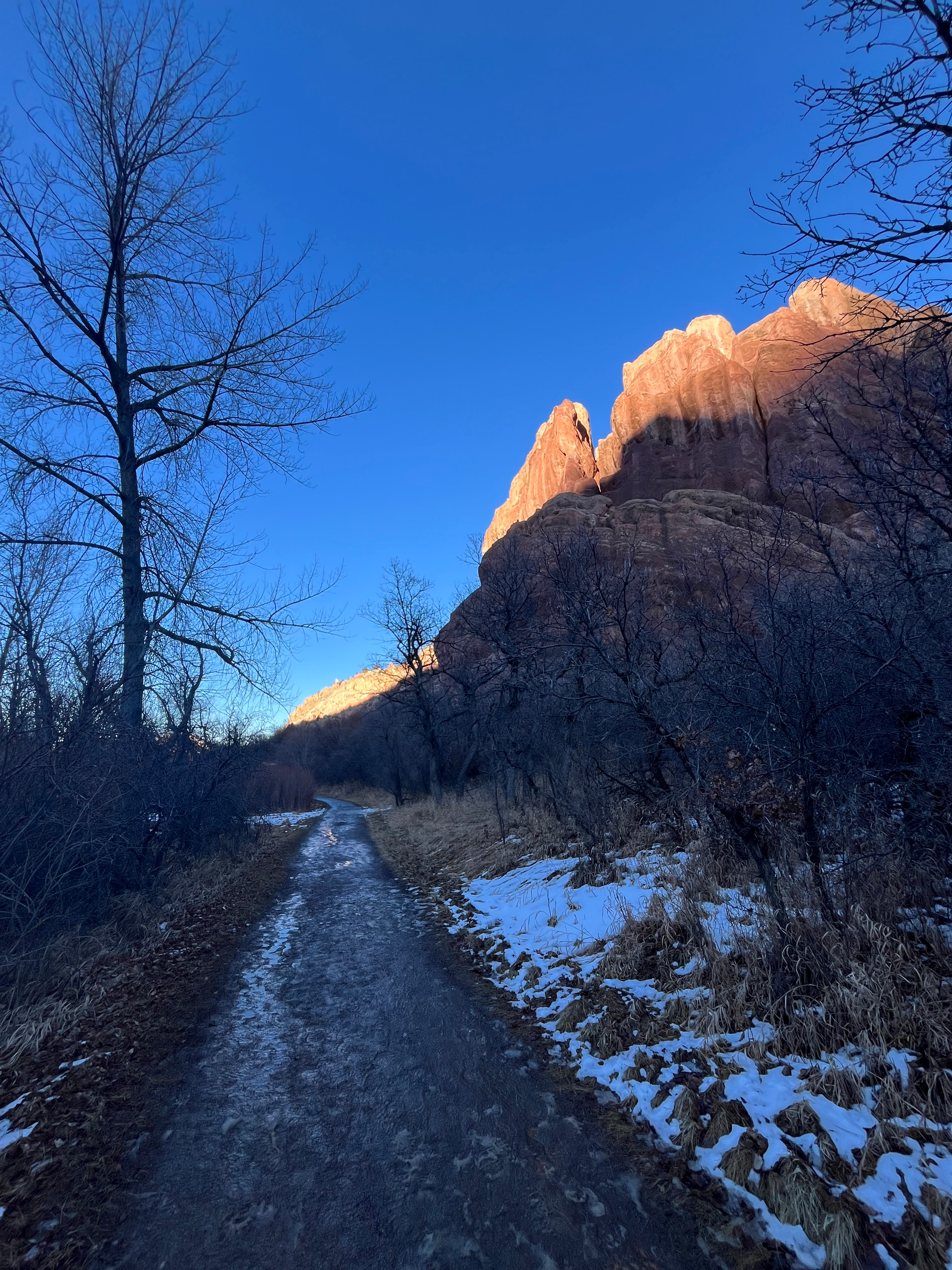 user avatar image for Rae Elliott