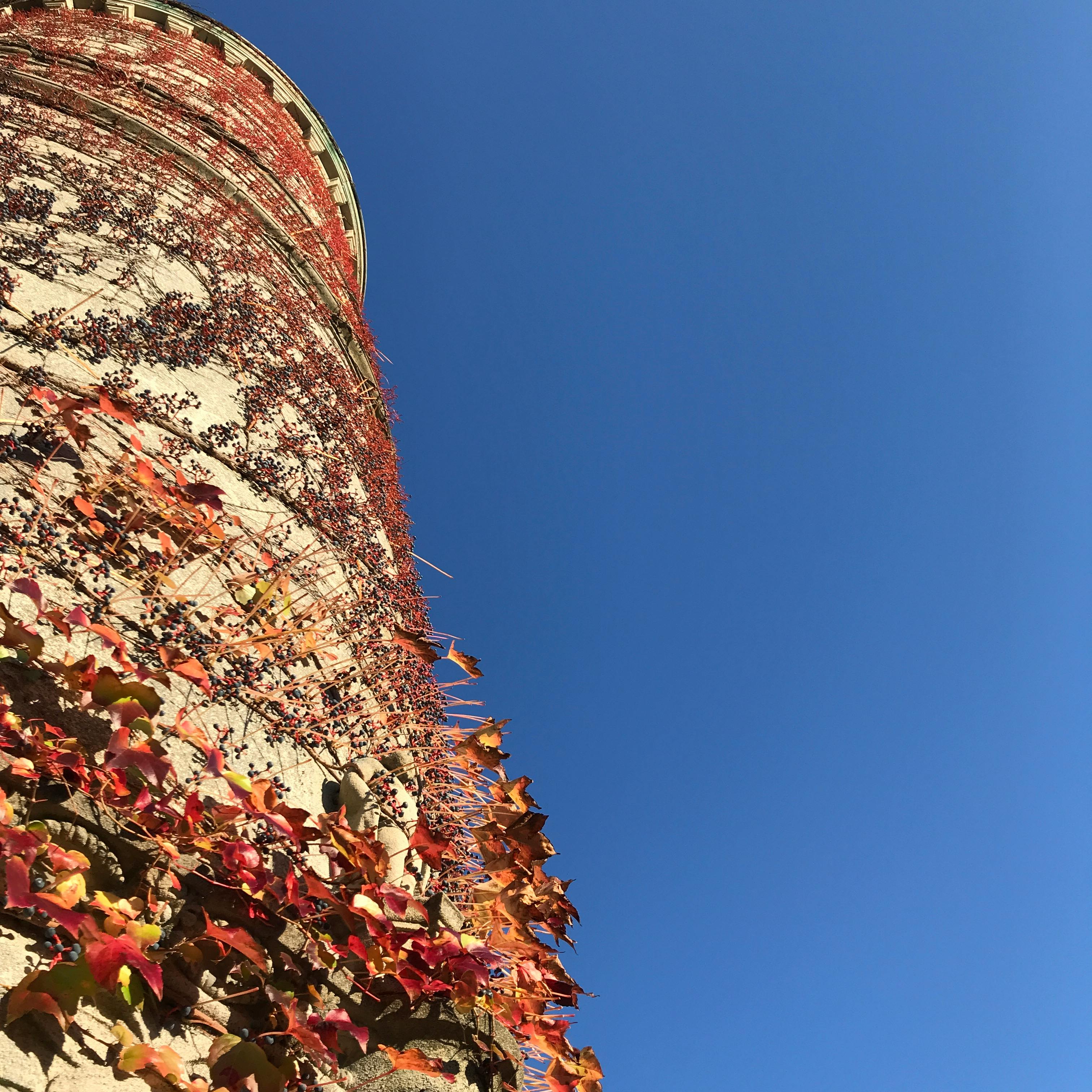 user avatar image for Barry Dodd