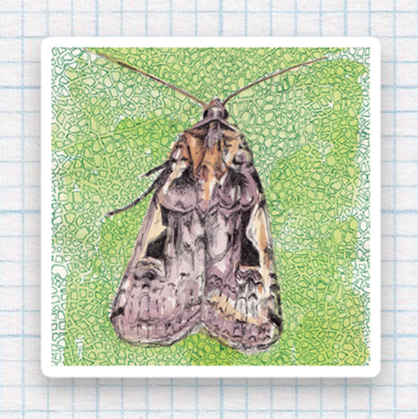 Moth Plant Cells Sticker