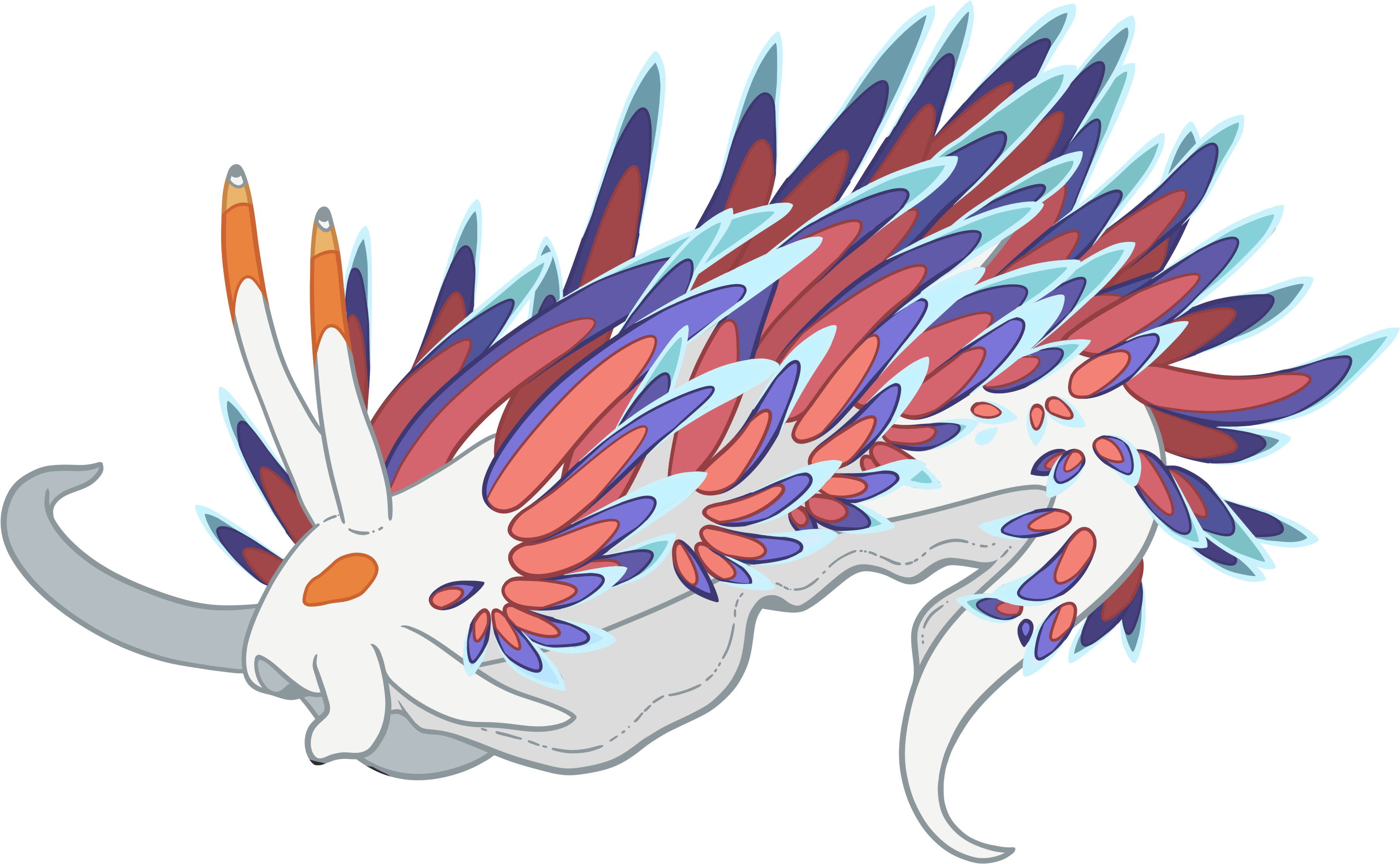 Flabellina Pin	