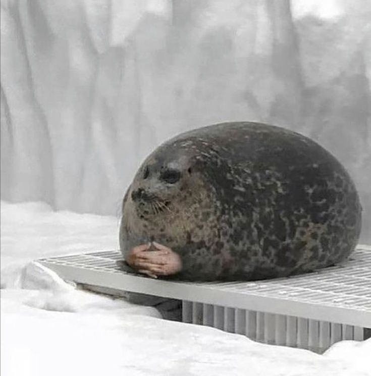 user avatar image for Tokuni Otters