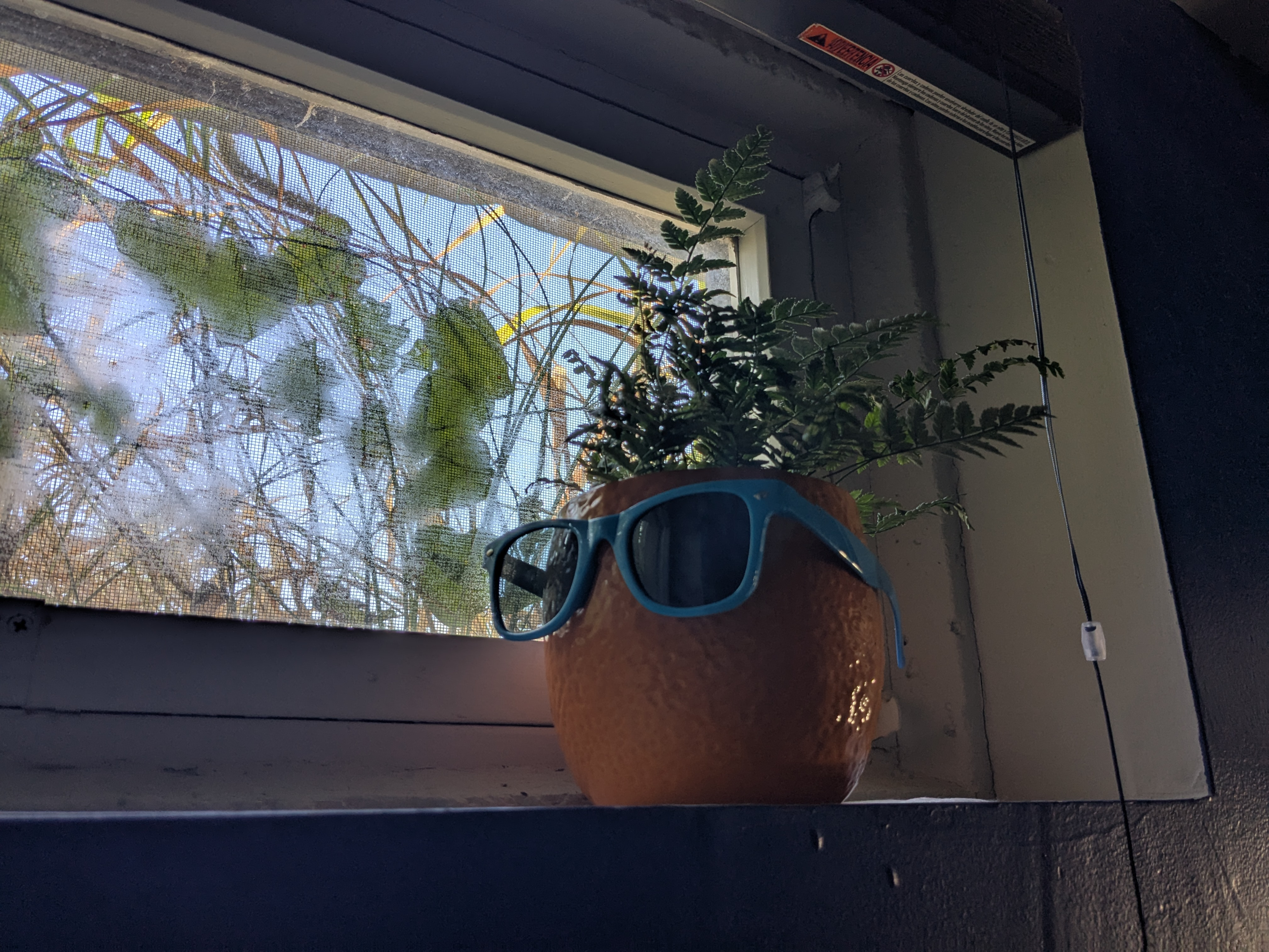 user avatar image for <BLANK>