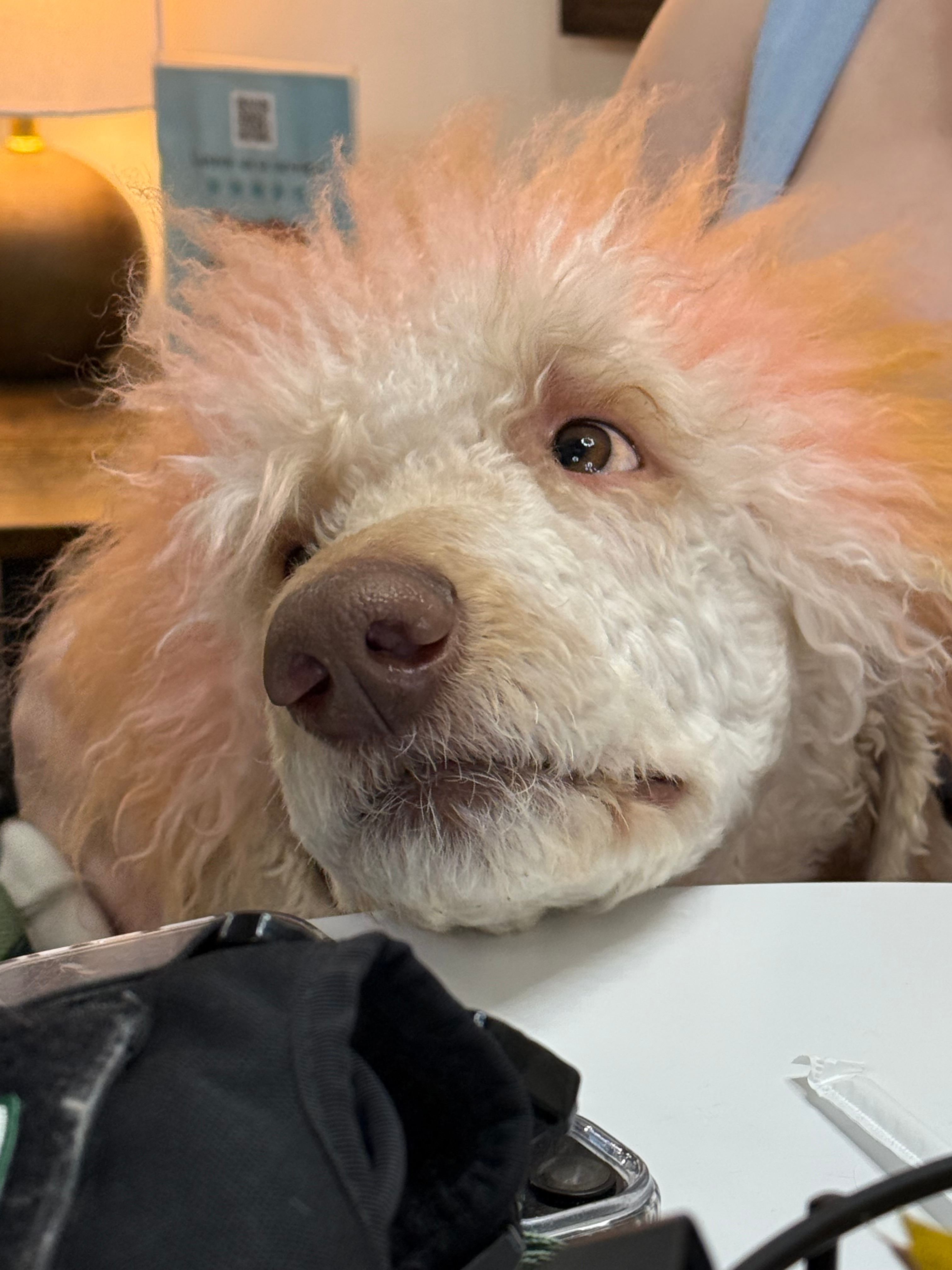 user avatar image for Ren&Barley