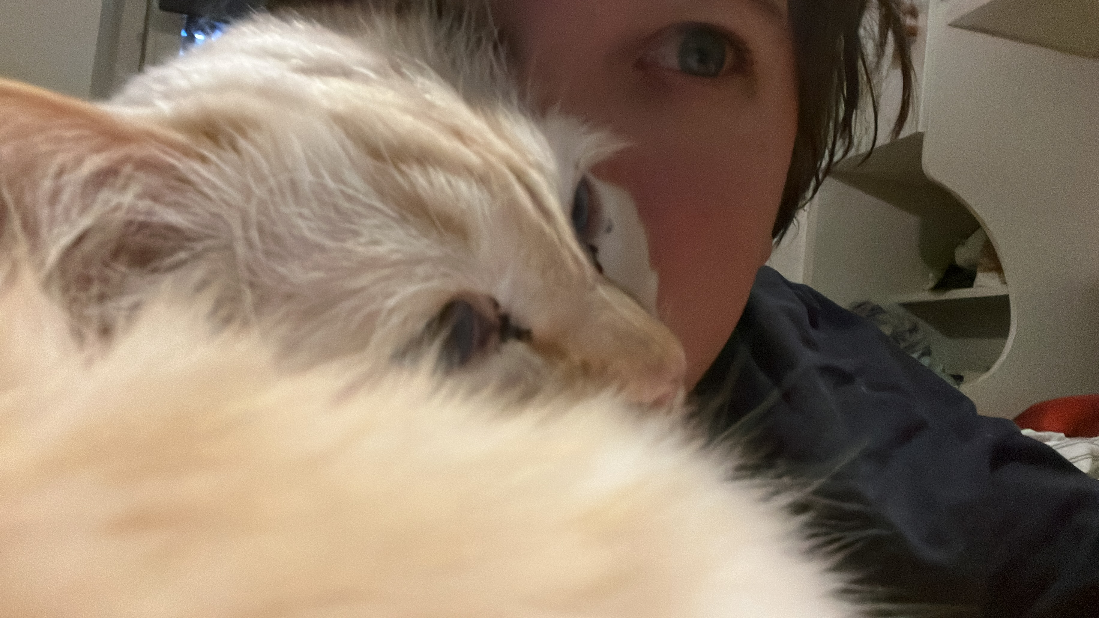 user avatar image for Alessandra Michela Coppes