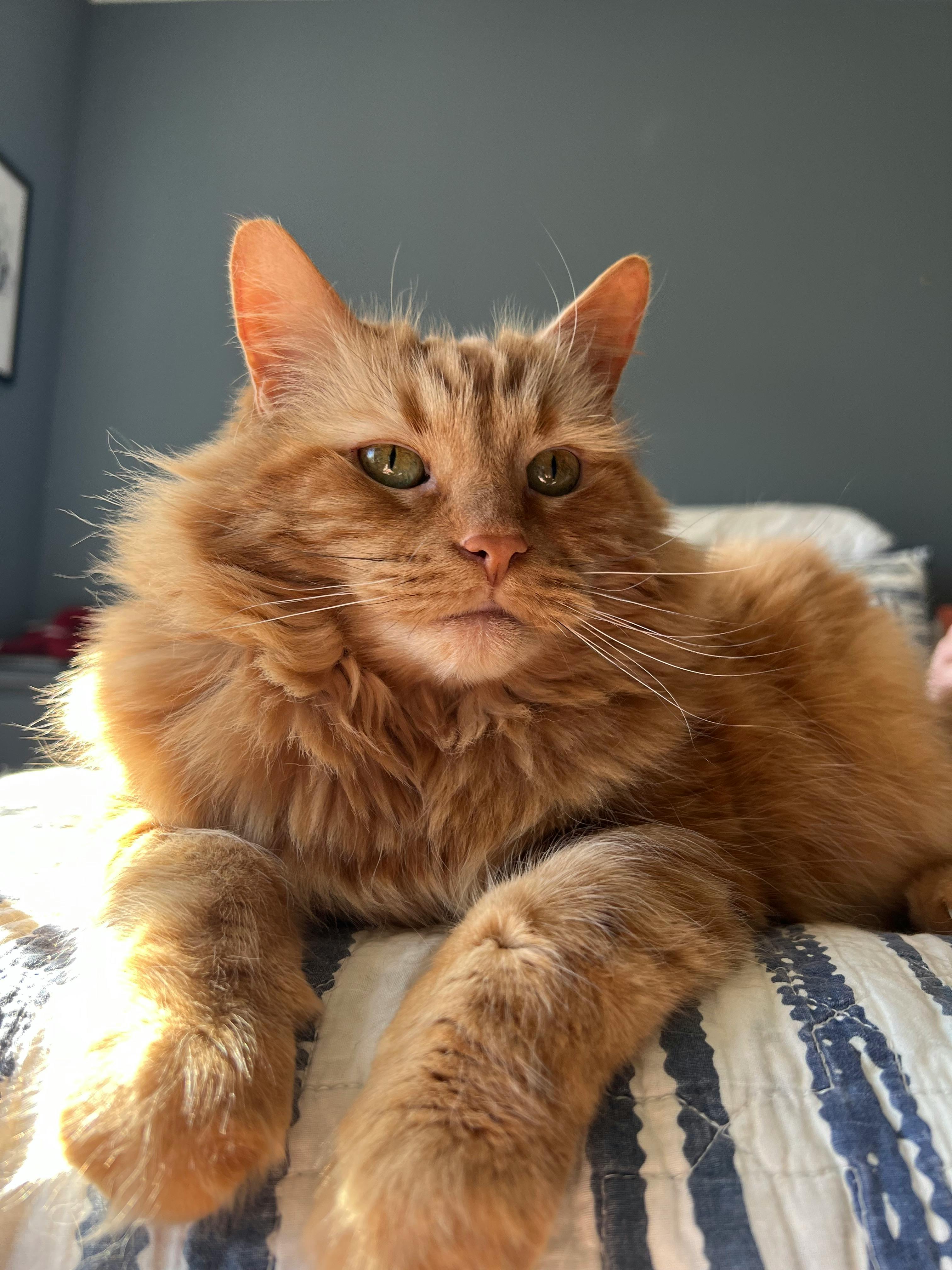 user avatar image for Roger Leinenbach