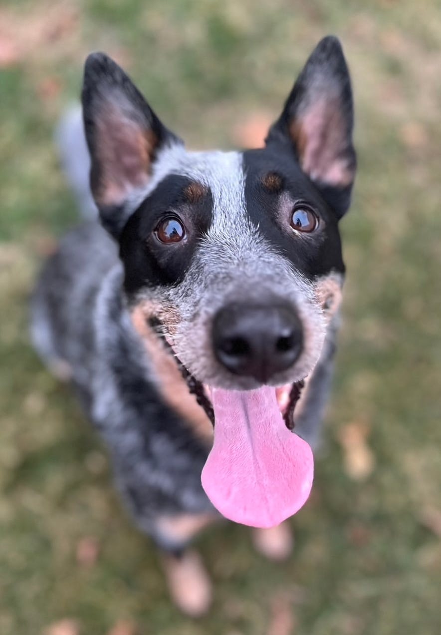 user avatar image for Amanda