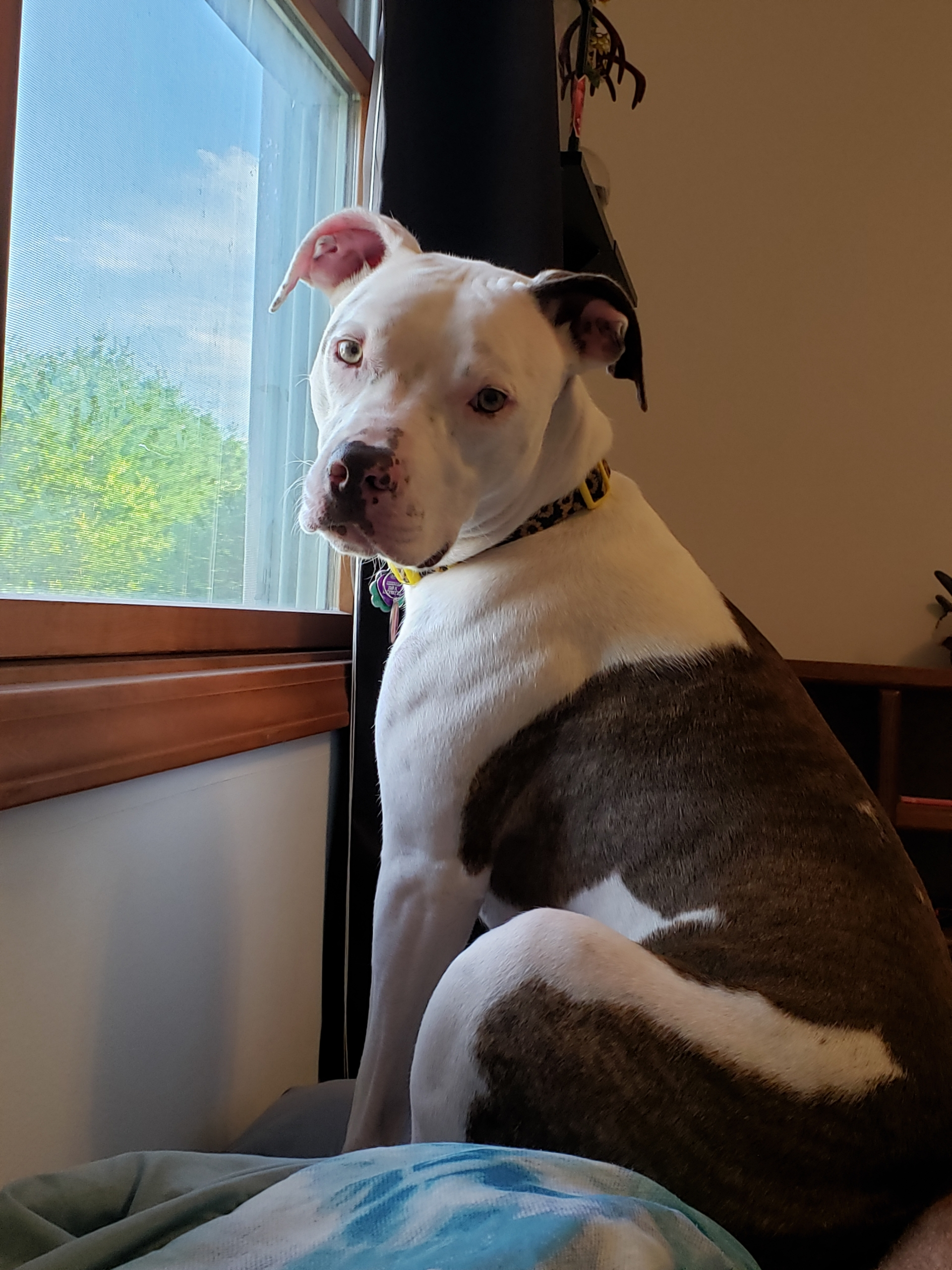 user avatar image for Angela Weaver