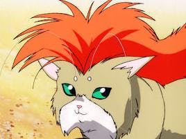 user avatar image for Curt Kremer