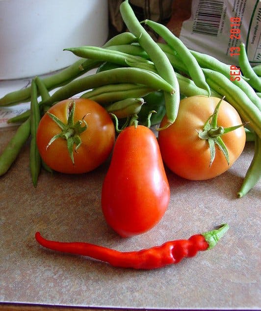 user avatar image for Merulus