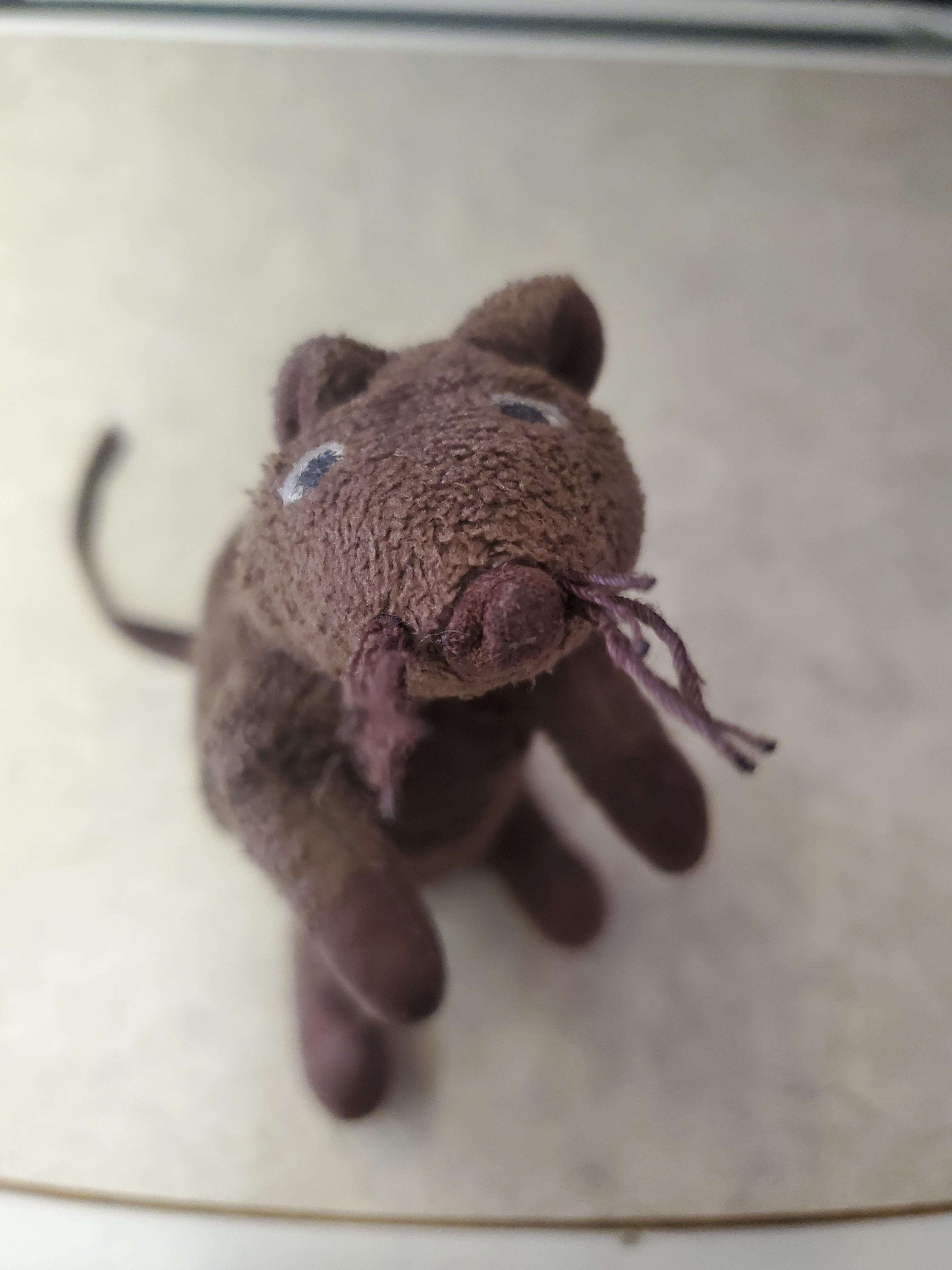 user avatar image for Aurevus