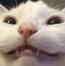 user avatar image for MurderOfCrows57