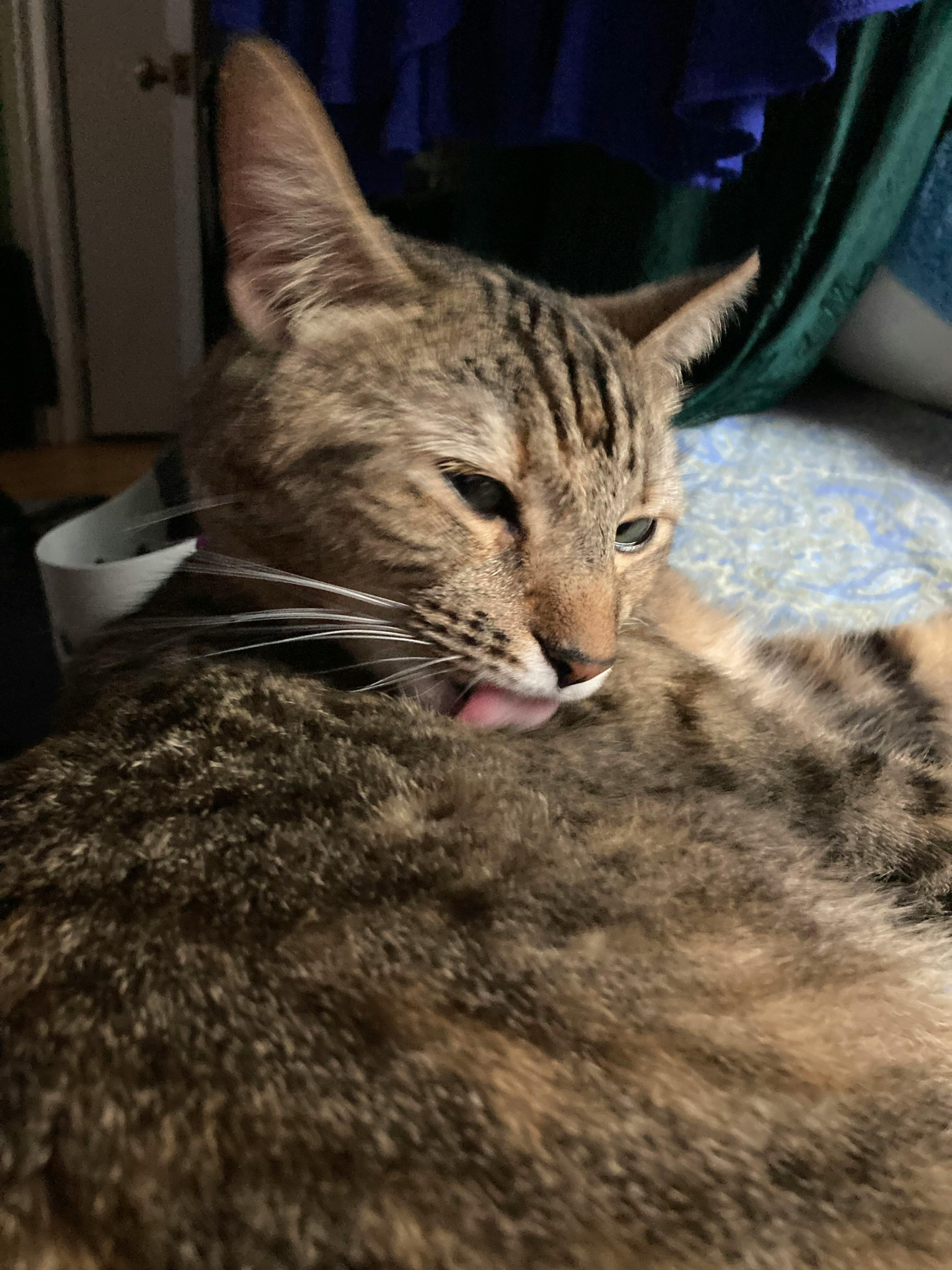 user avatar image for Jasper