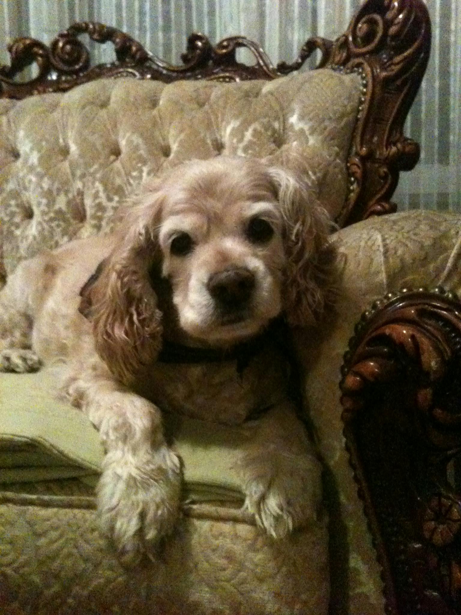 user avatar image for Danie Blais