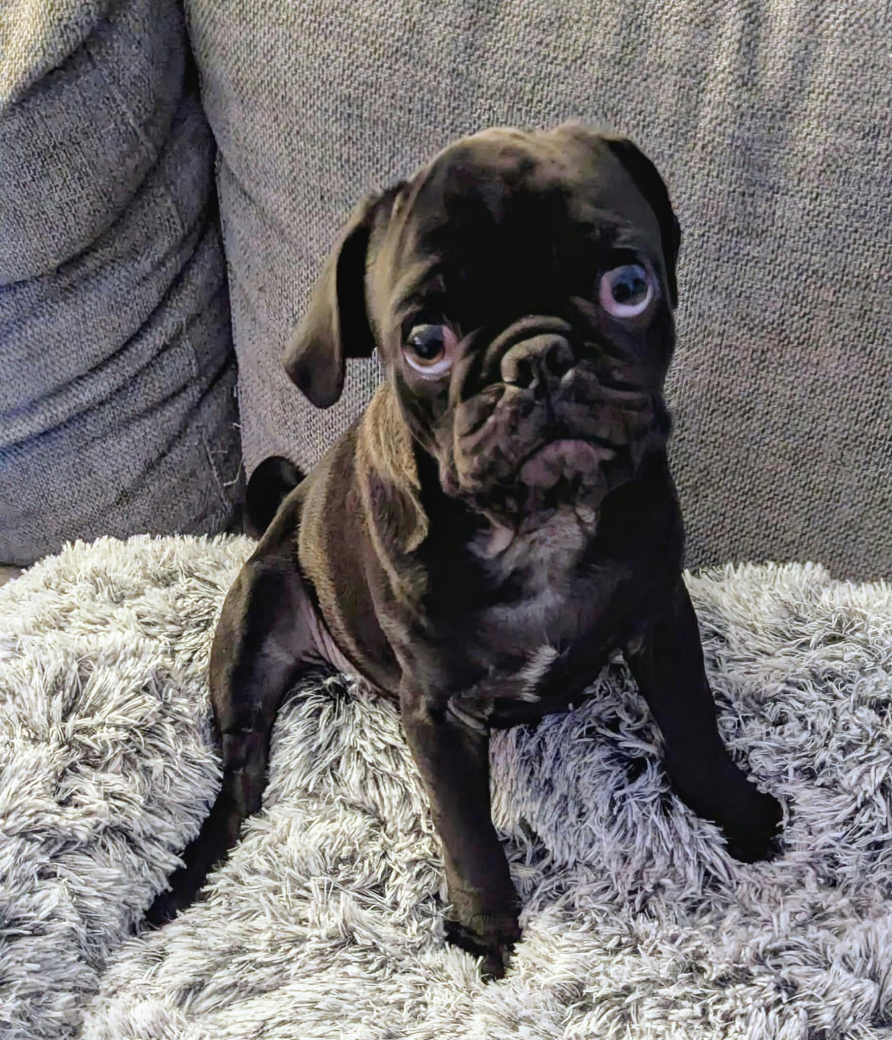 user avatar image for Jessica 