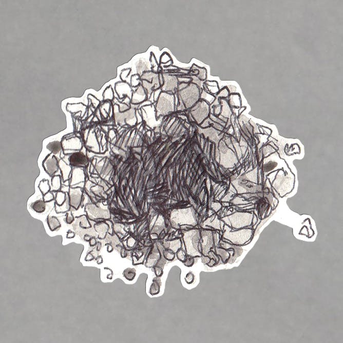 Spheroid Cells Sticker
