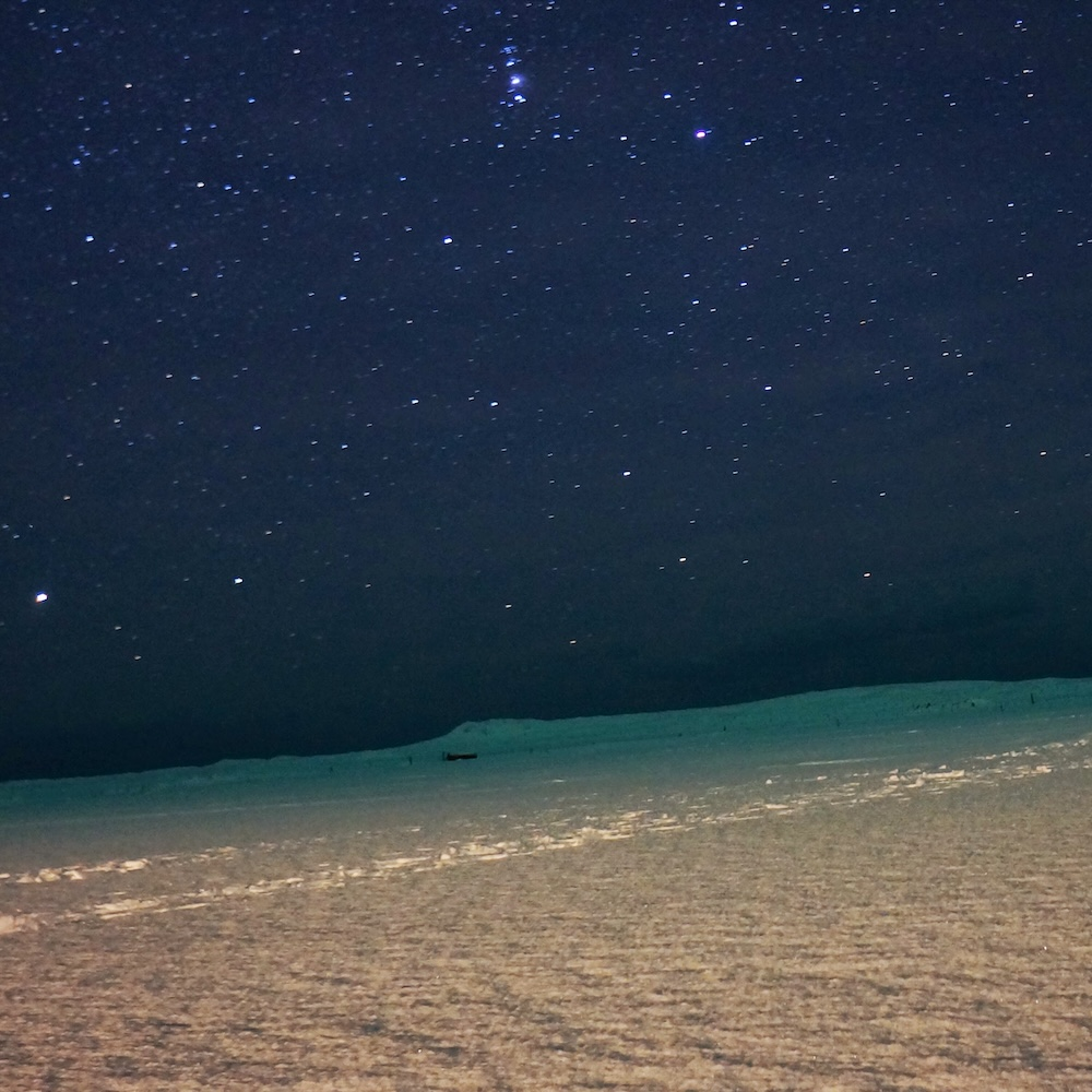 user avatar image for max