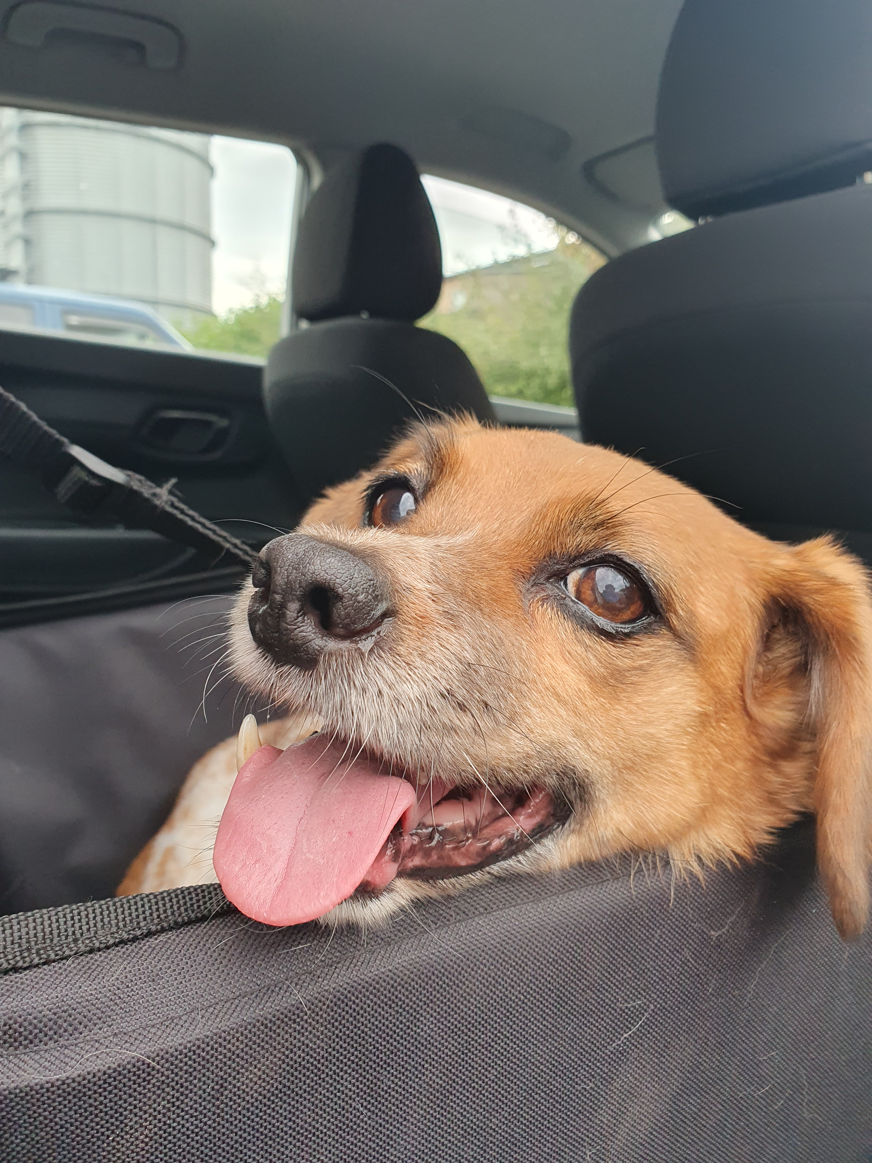 user avatar image for Bremaike