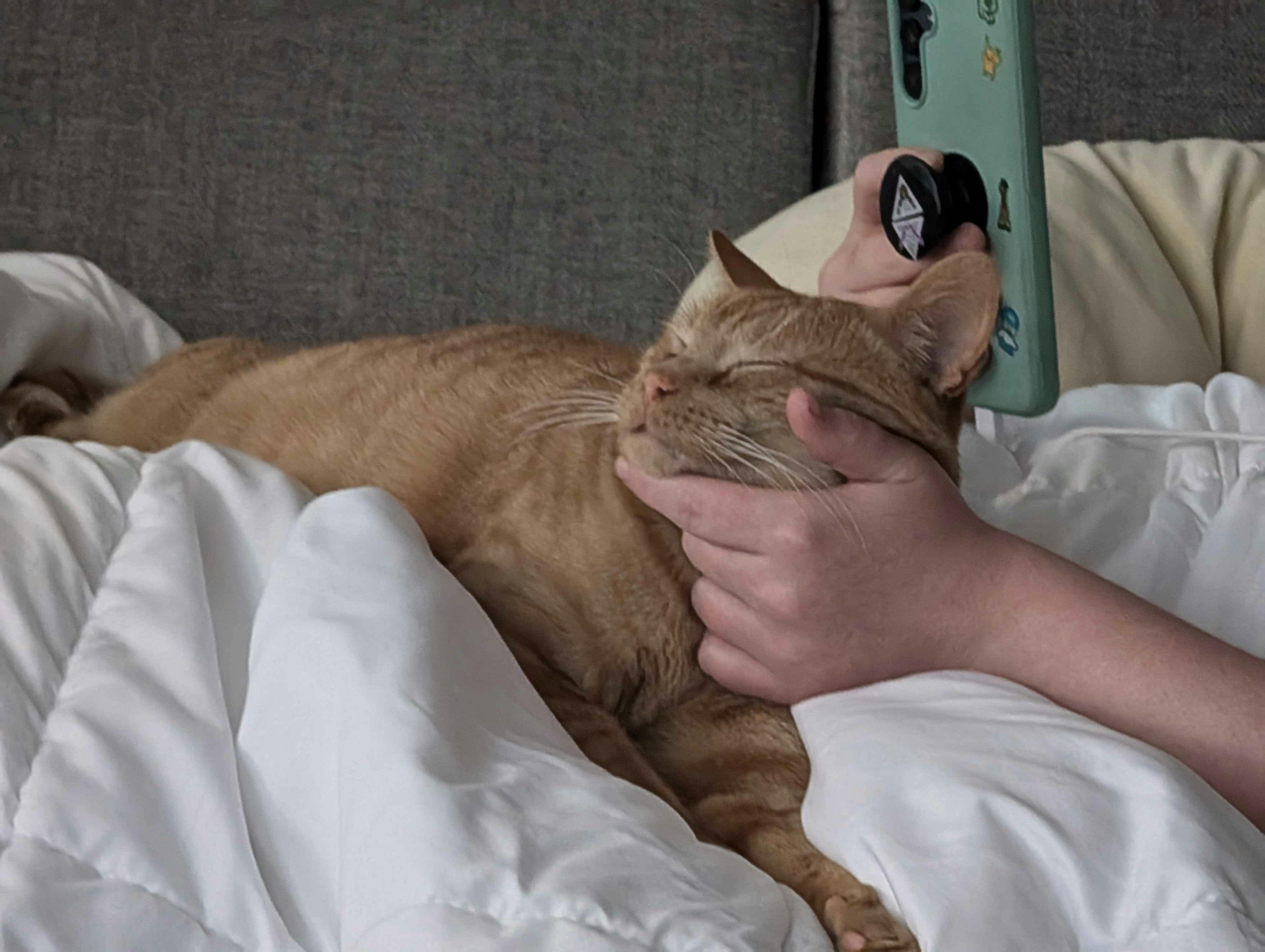 user avatar image for Lance