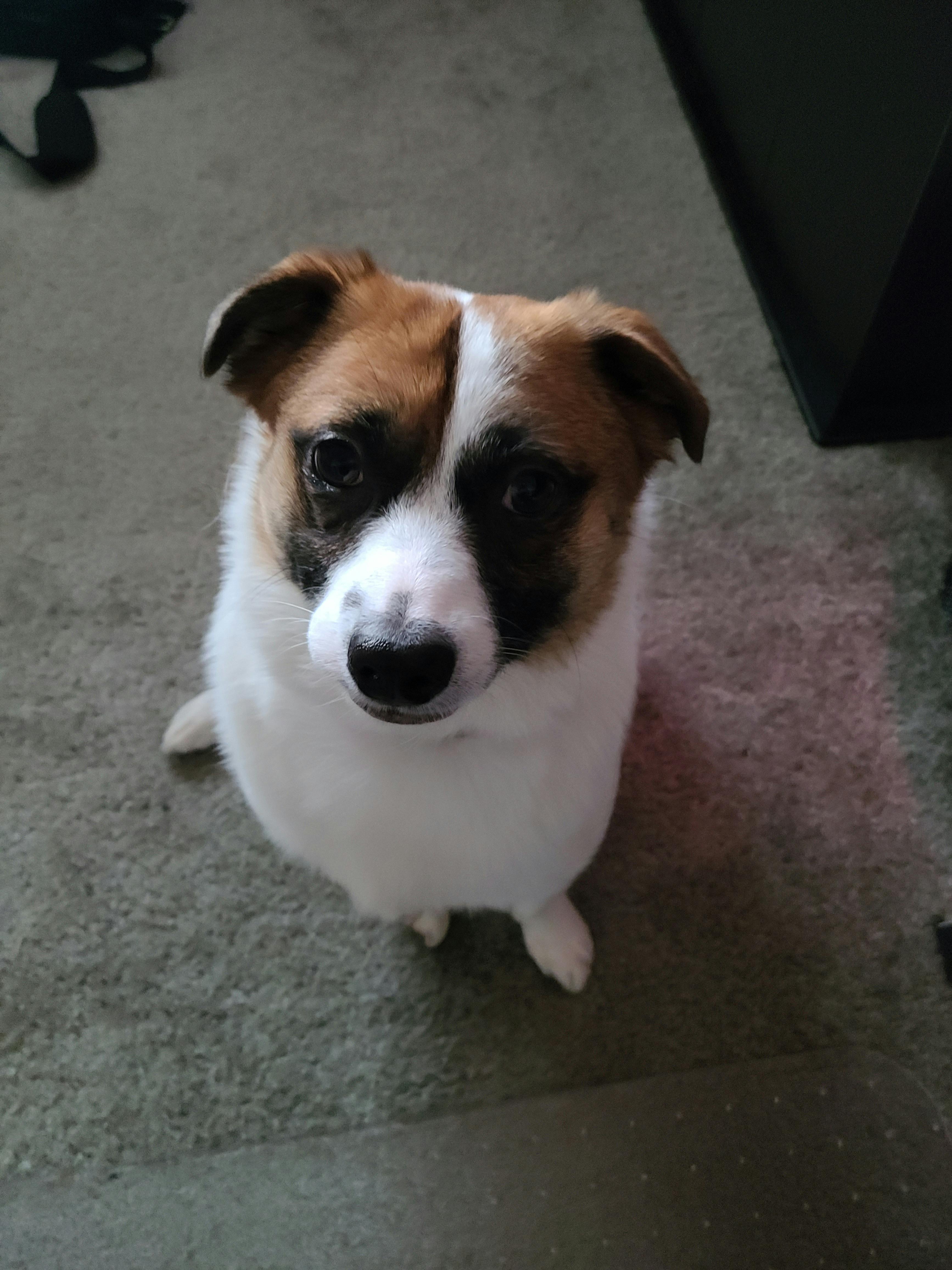 user avatar image for Frosticles08