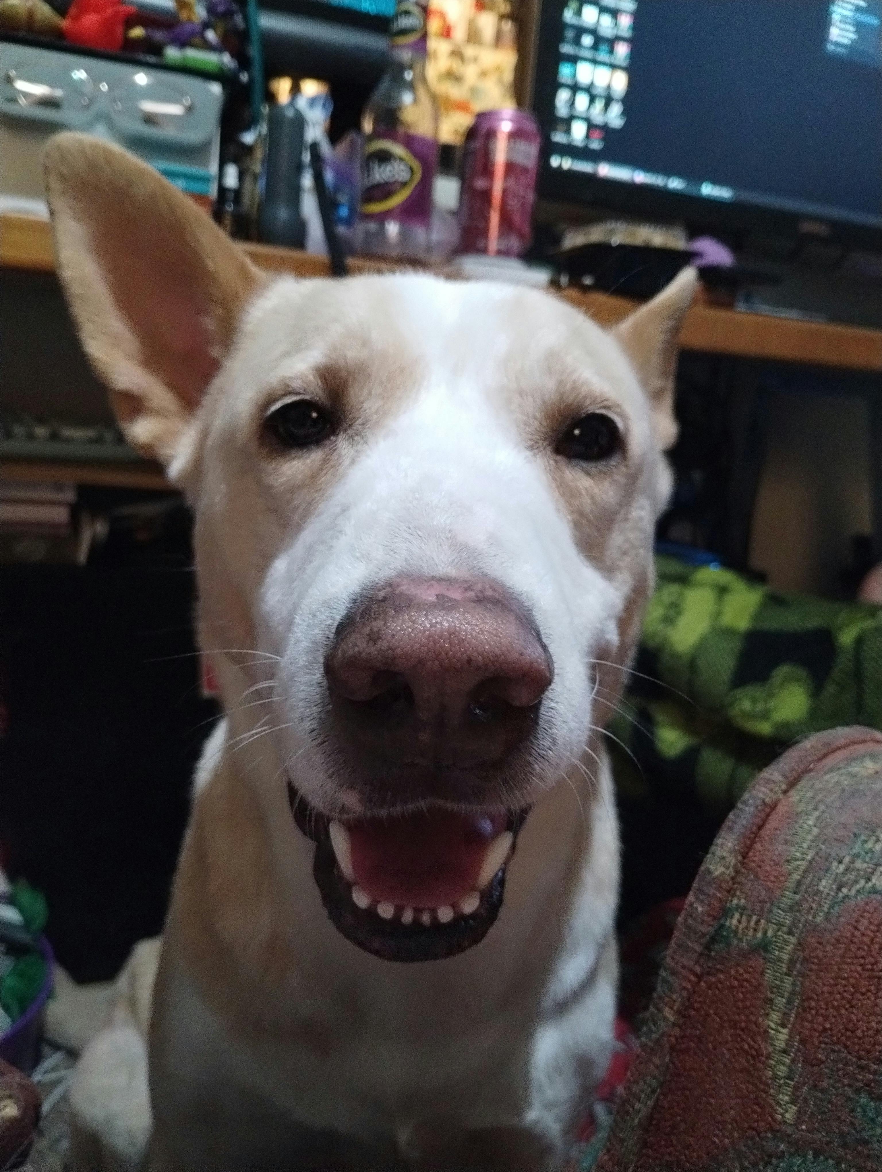 user avatar image for Anfrachel