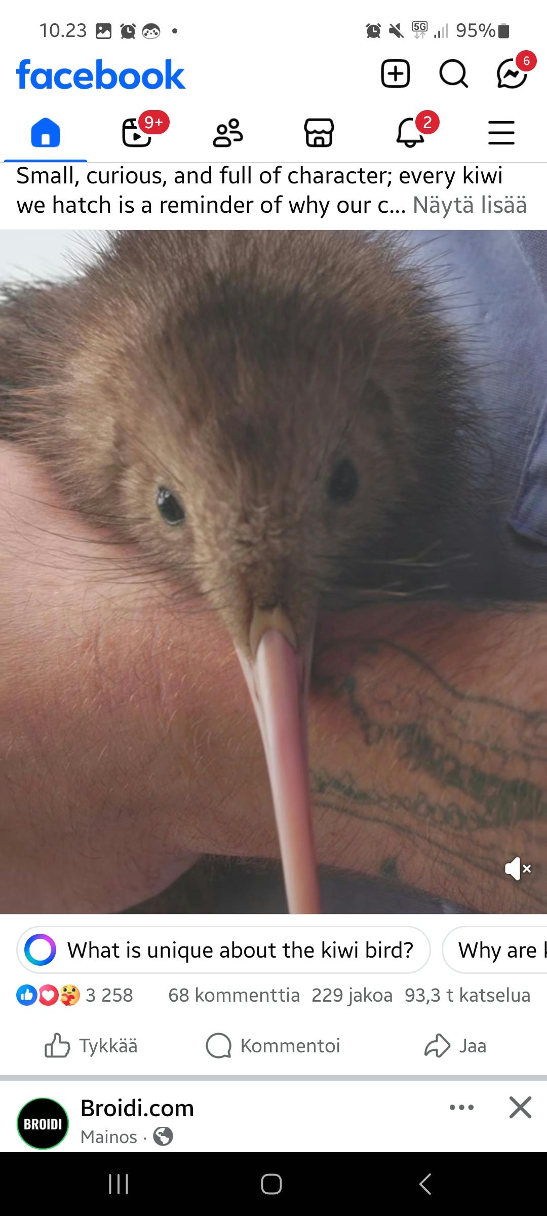 user avatar image for Marja