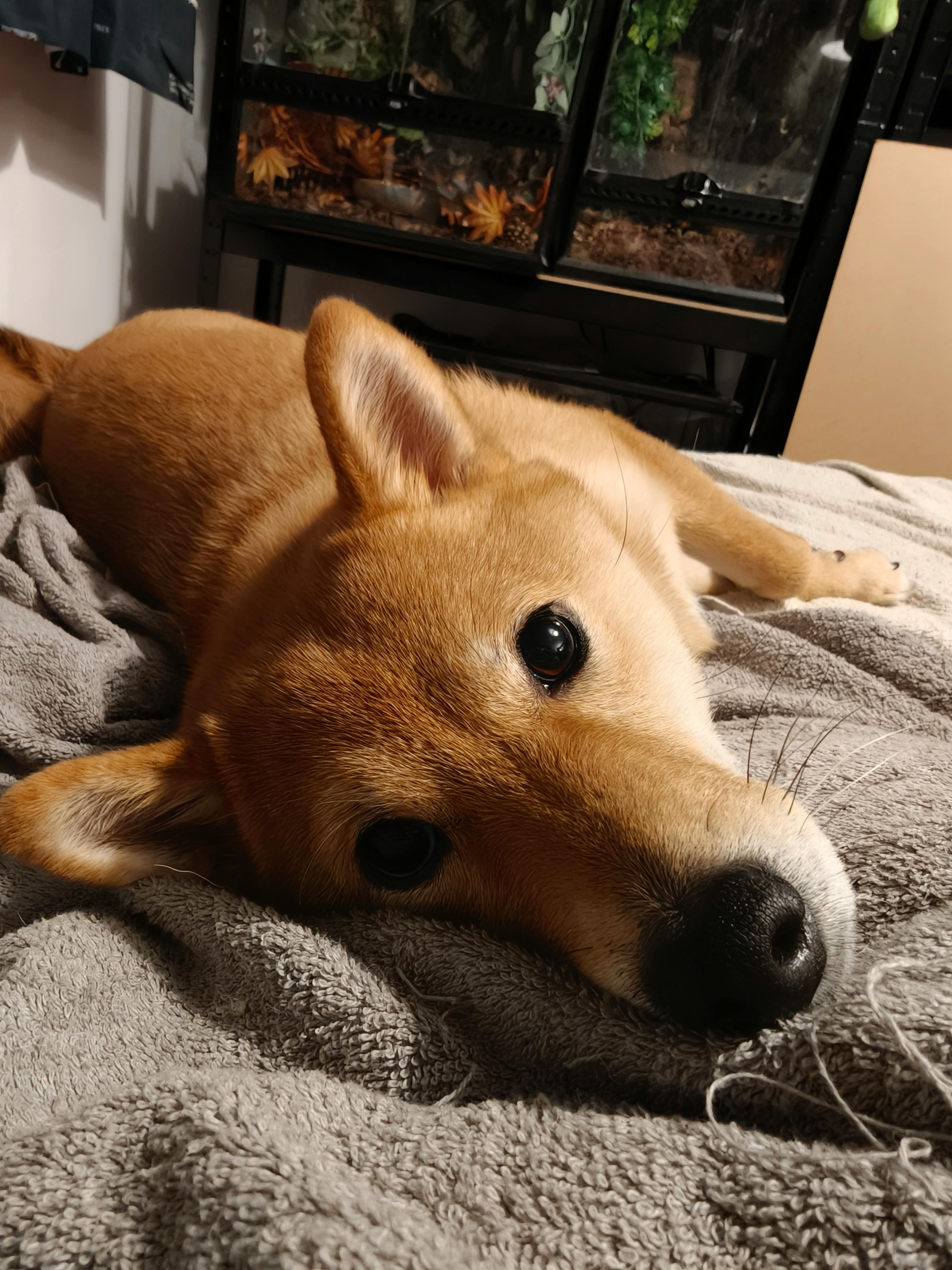 user avatar image for Scott Adams