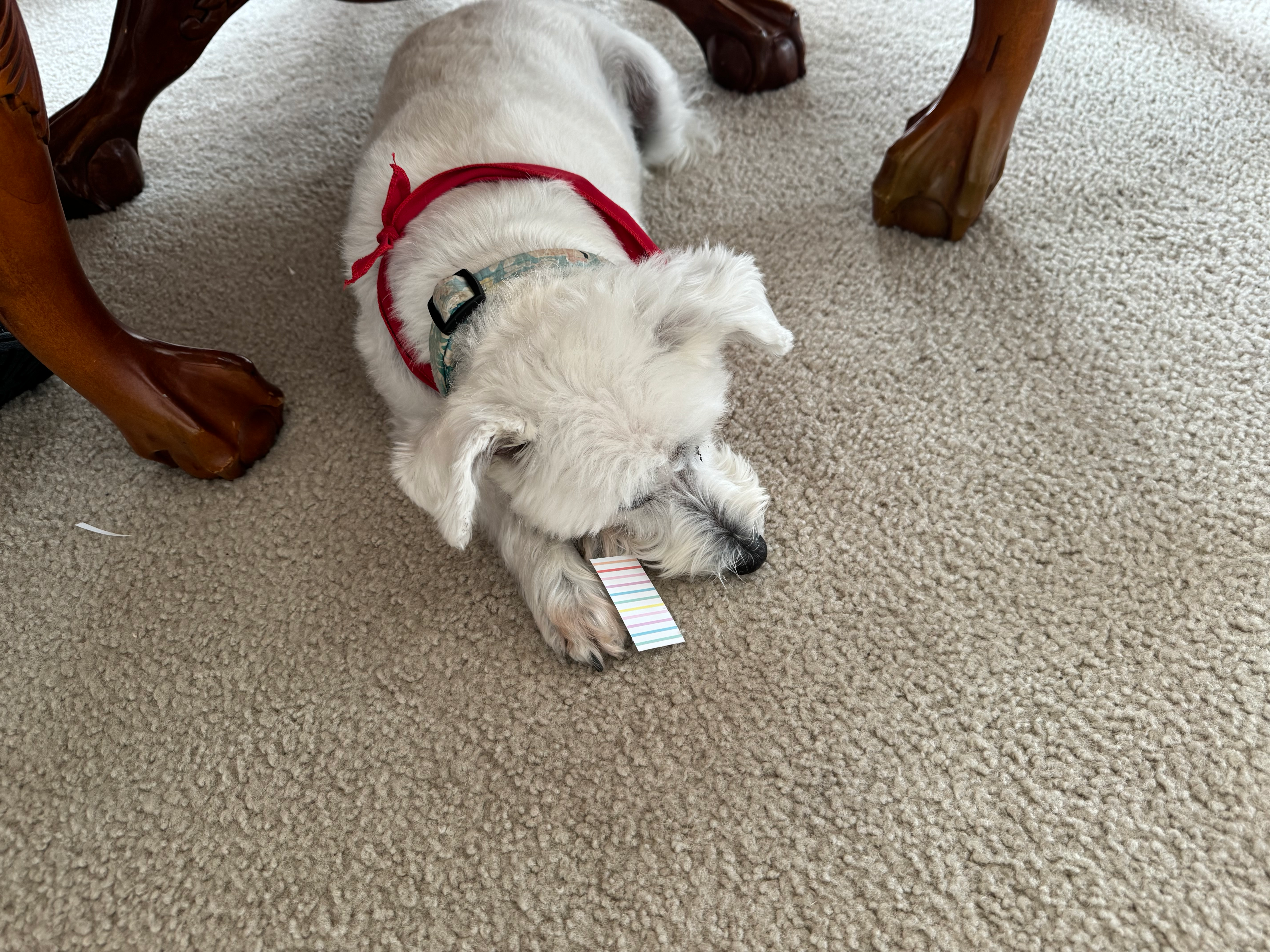 user avatar image for Phantom